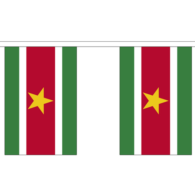 Braxiliaanse versiering vlaggenlijn 9 m