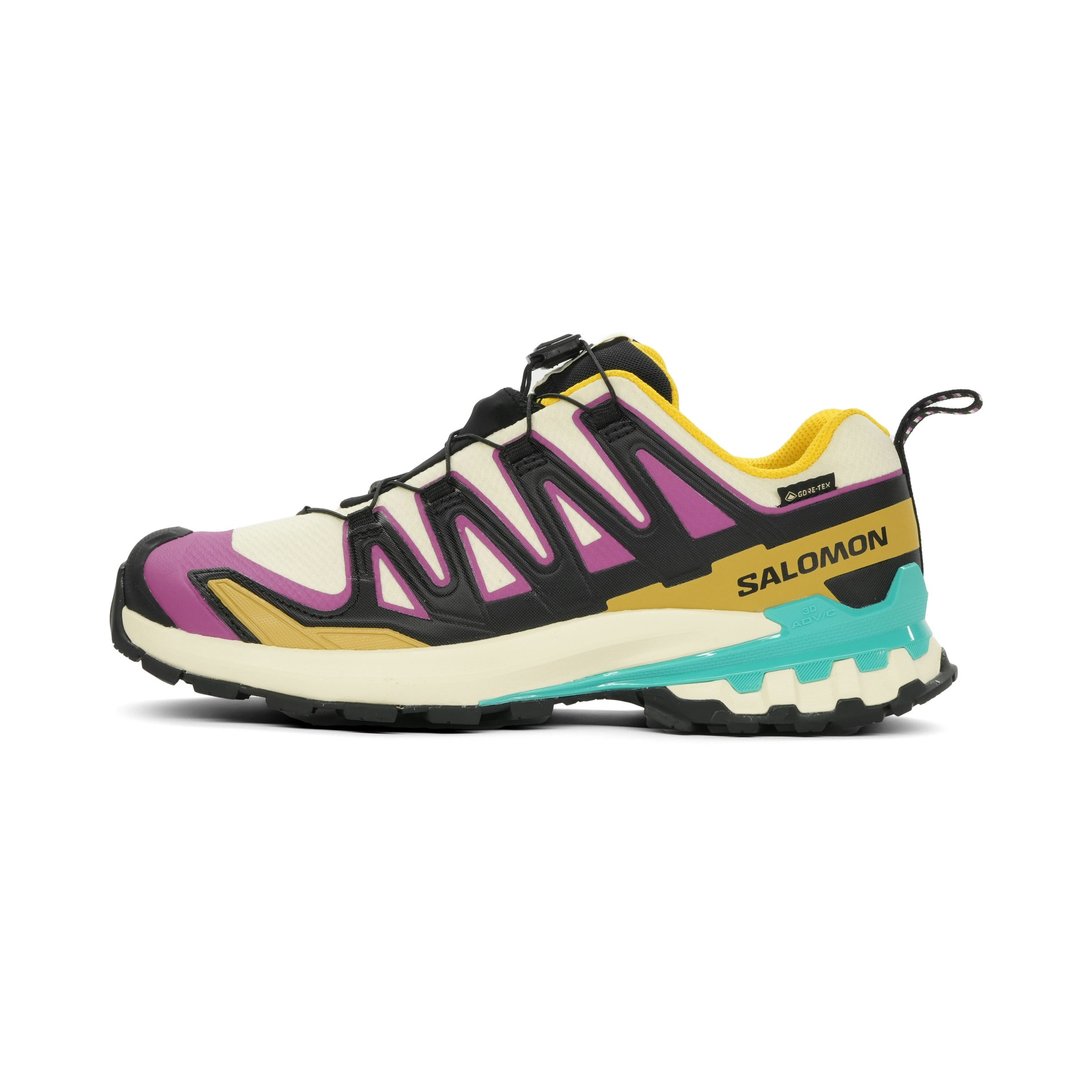 Salomon XA Pro 3D V9 GTX Heren