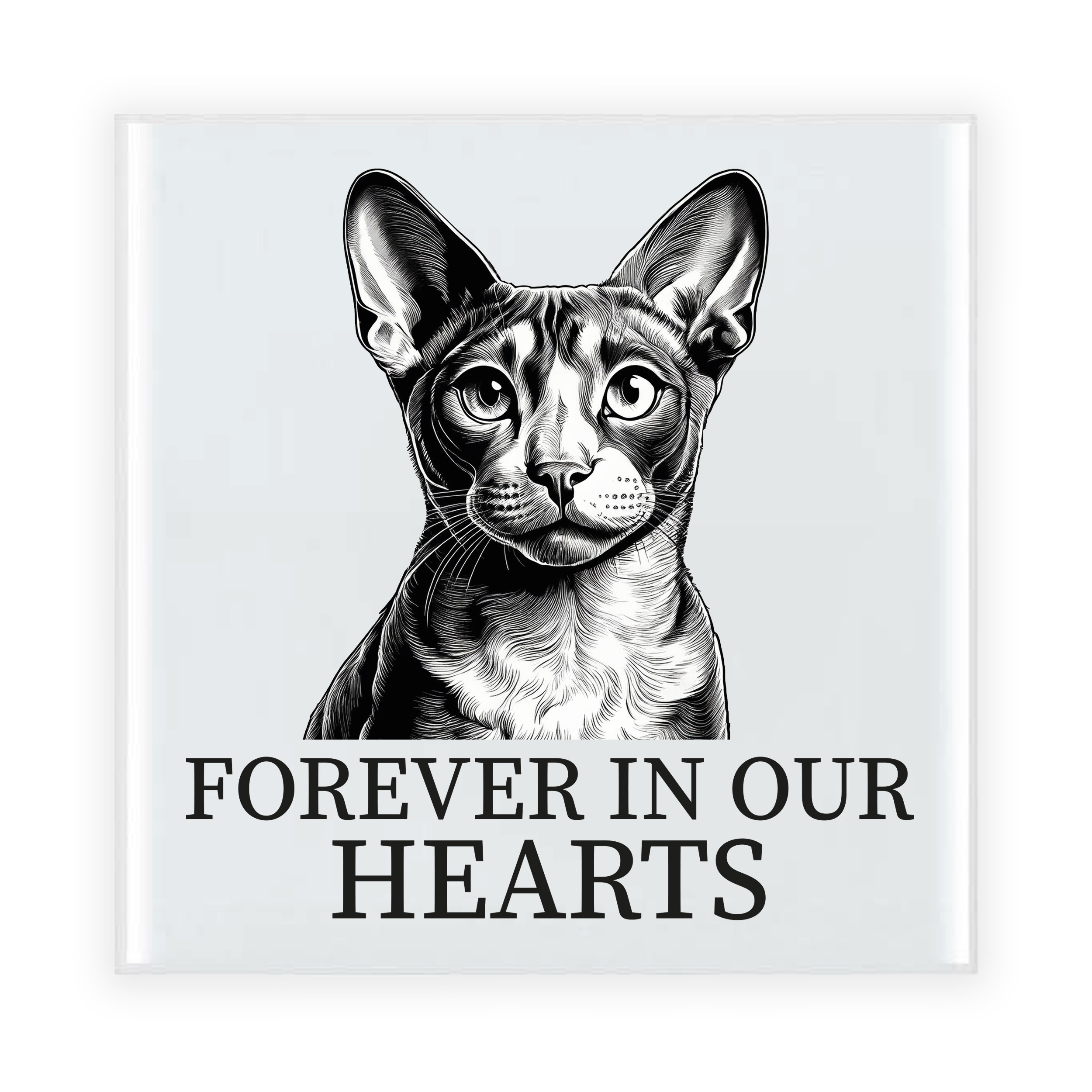 Herdenking cadeau tegel kattenliefhebber - Cornish Rex kat/poes - zwart/wit - keramiek - 15 cm