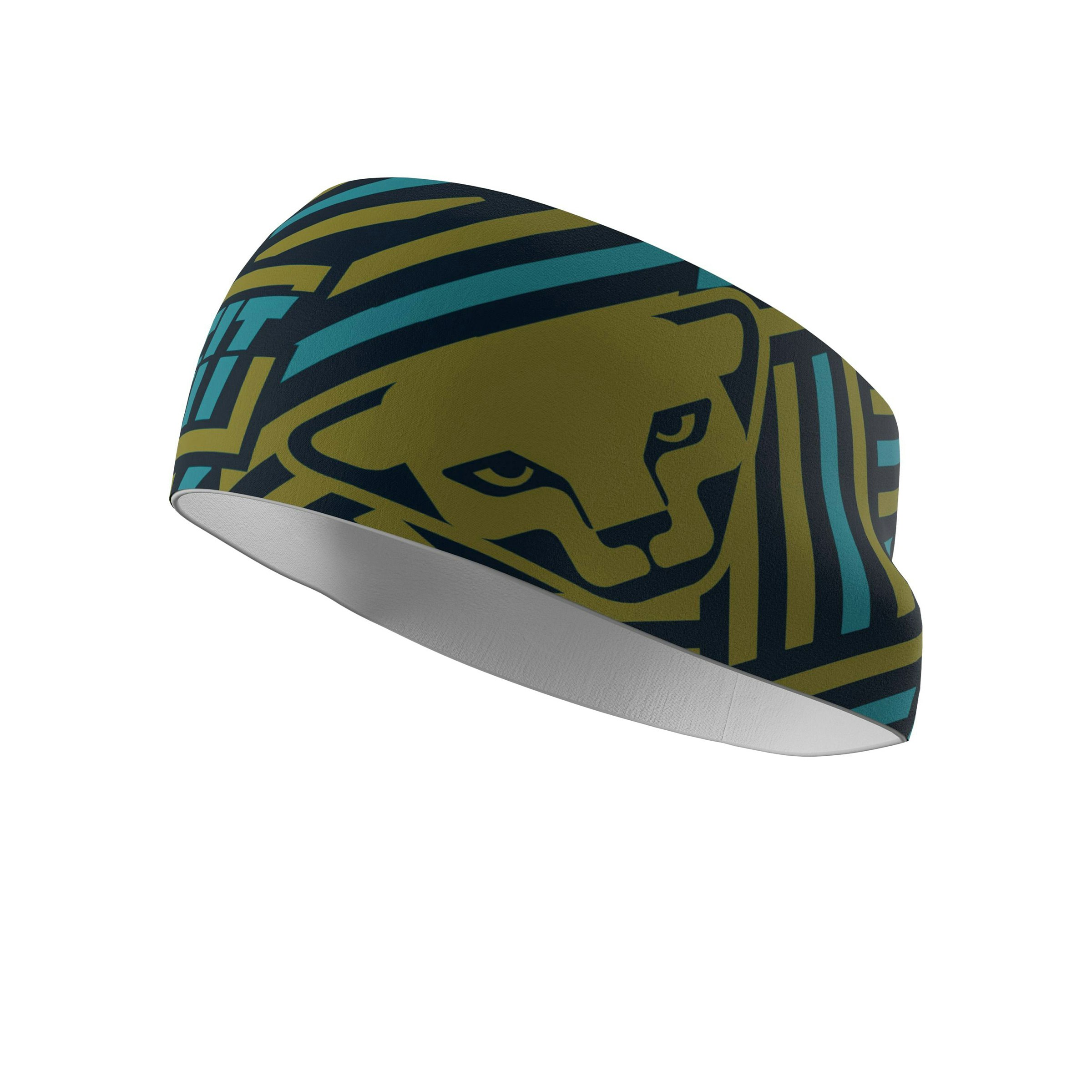 Dynafit Graphic Performance Headband Unisex