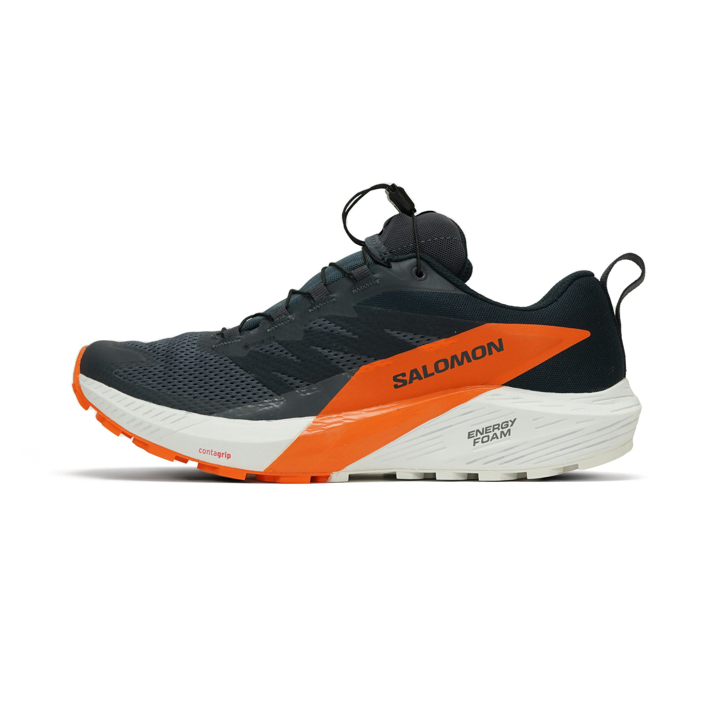 Salomon Sense Ride 5 GTX Heren
