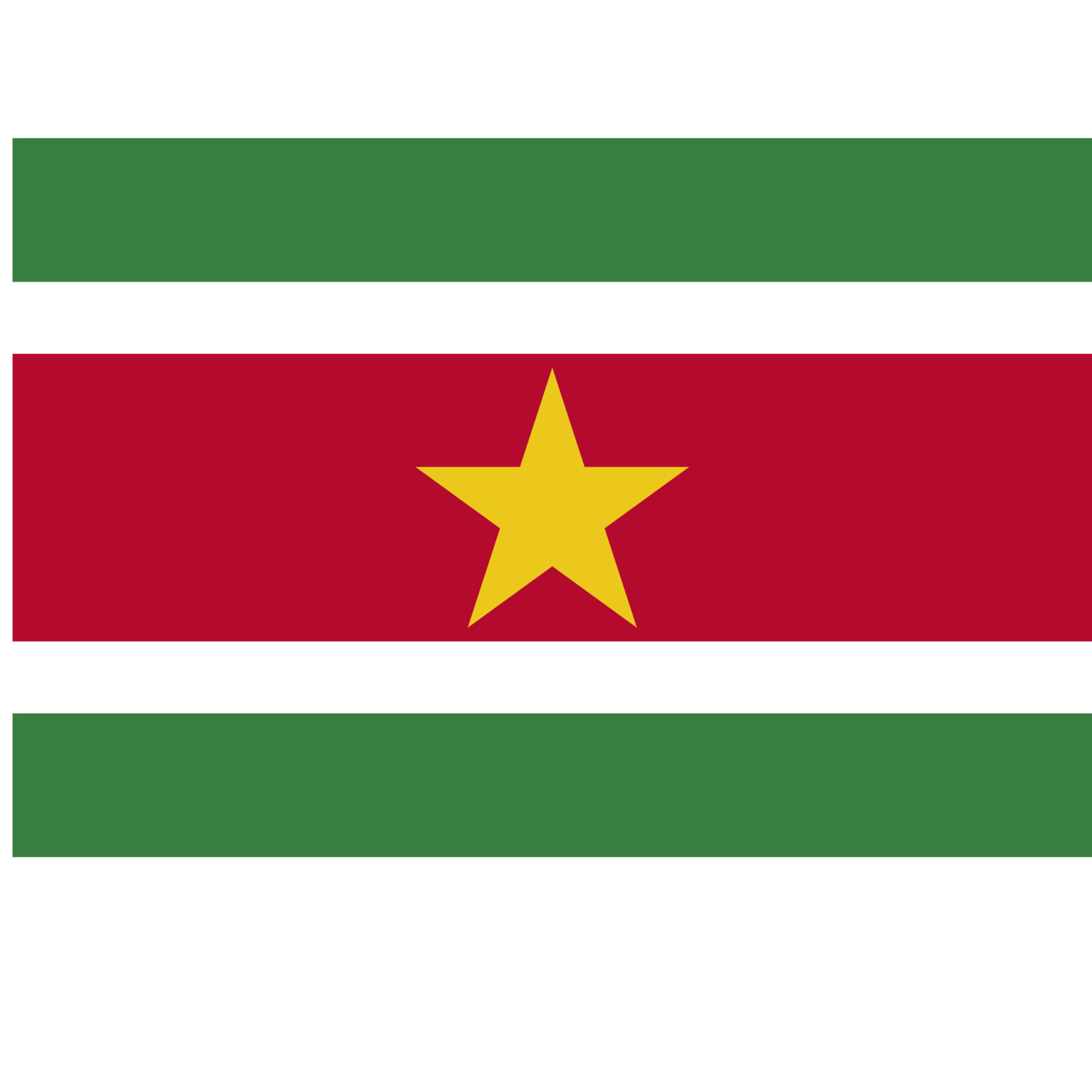 Vlag Suriname - 90 x 150 cm - Surinaamse Vlag - Suriname