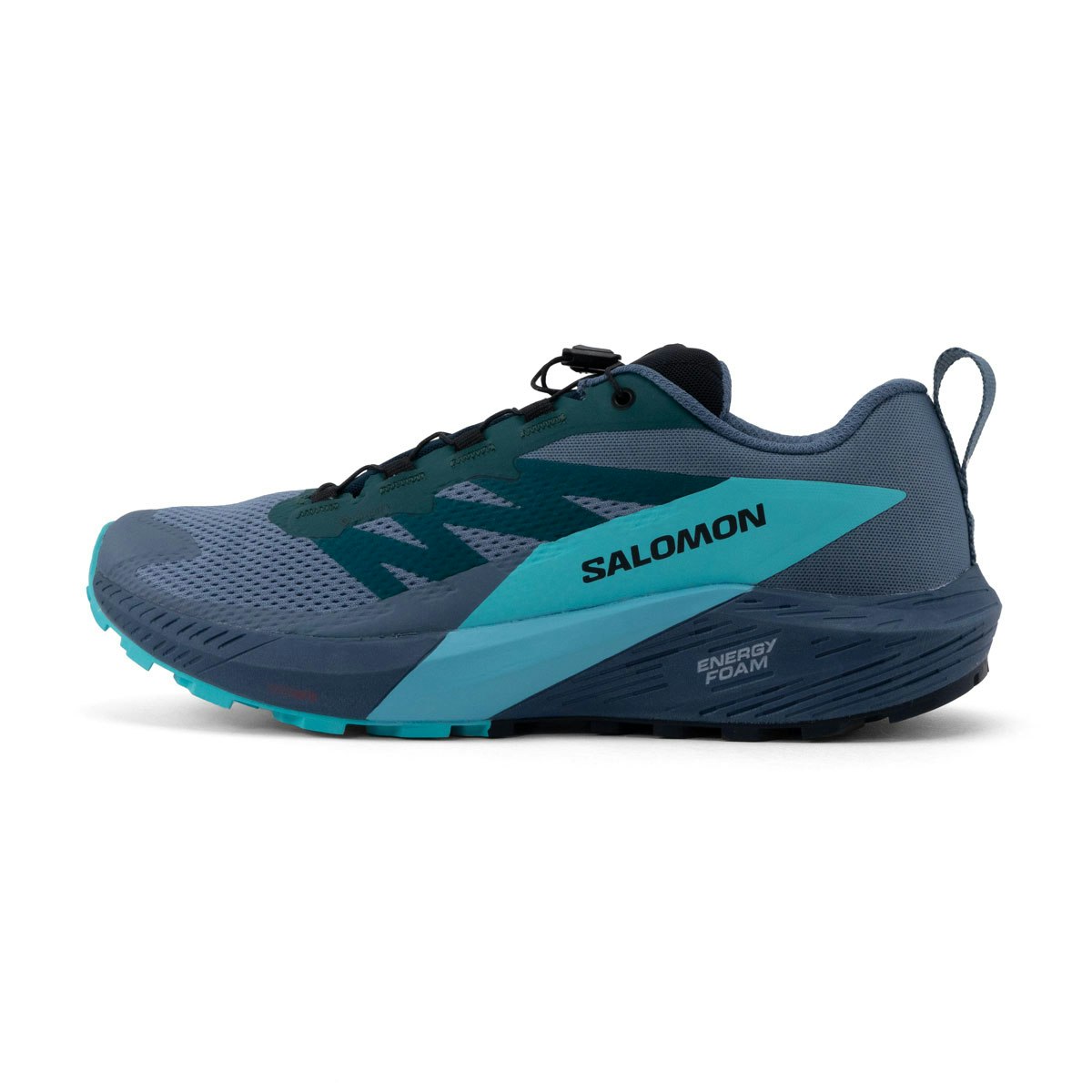 Salomon Sense Ride 5 GTX Heren