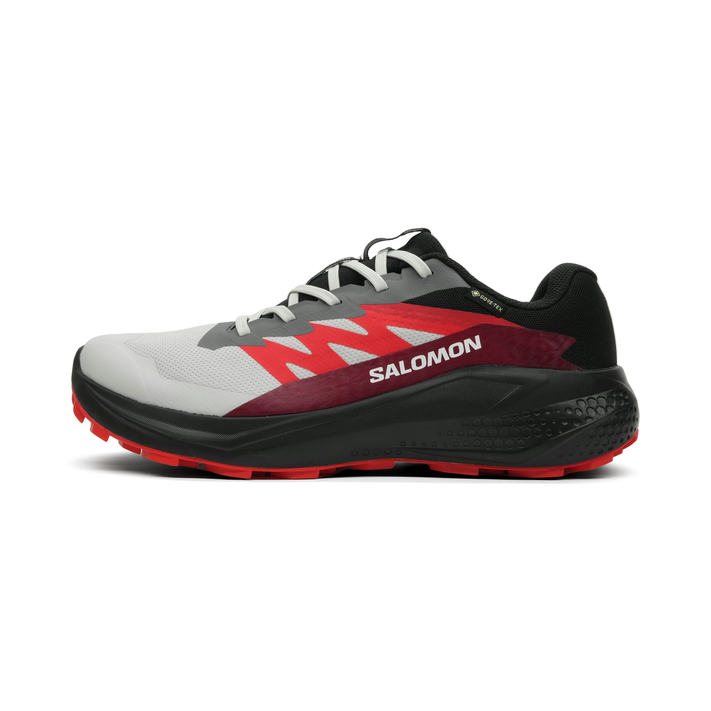 Salomon Alphaglide GTX Heren