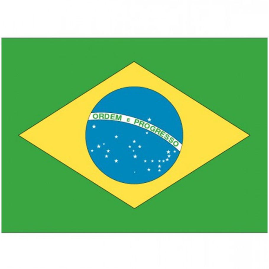Vlag van Brazilie stickers - 10x stuks - 7 x 10 cm - Landen - Braziliaanse vlaggetjes