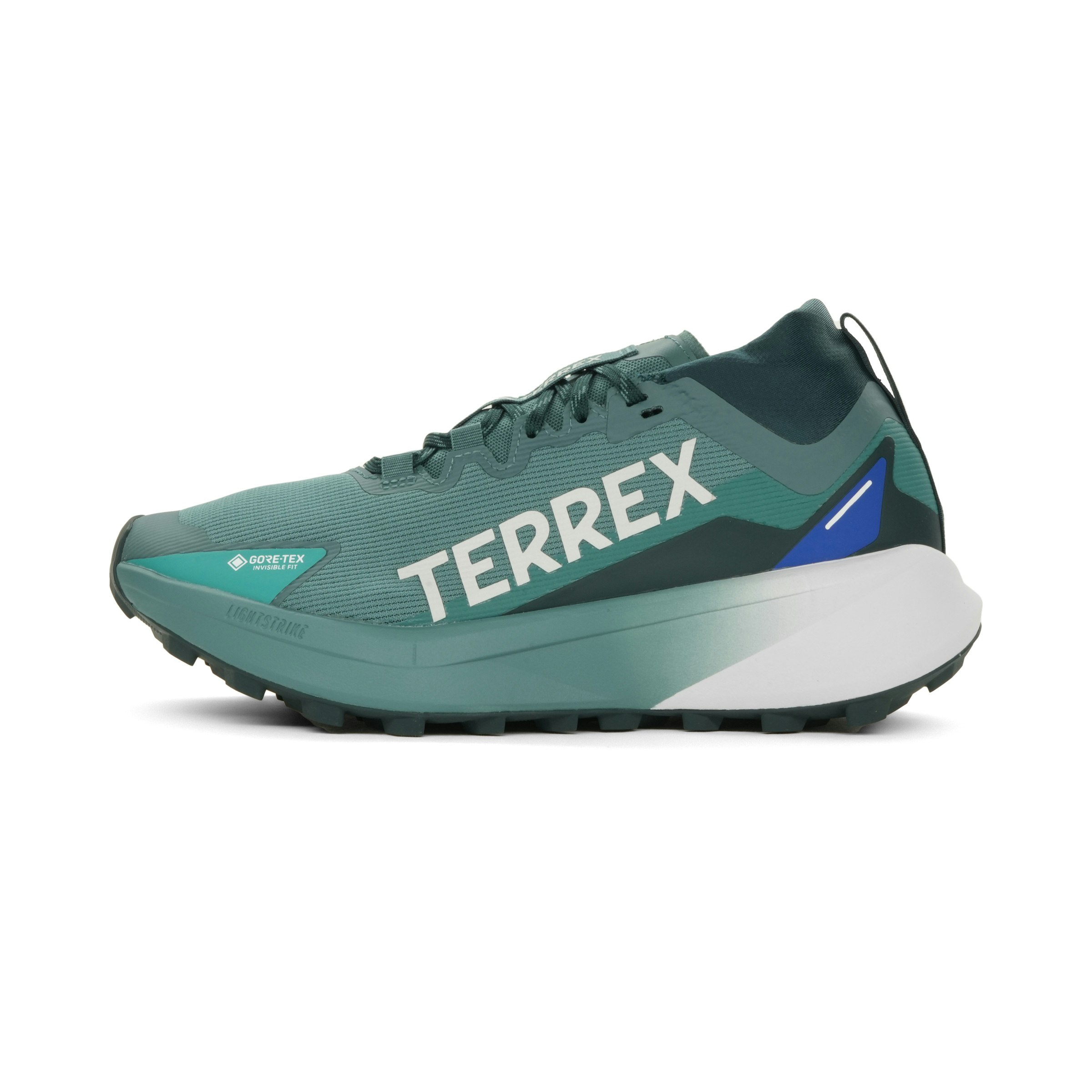 adidas Terrex Agravic GTX Heren