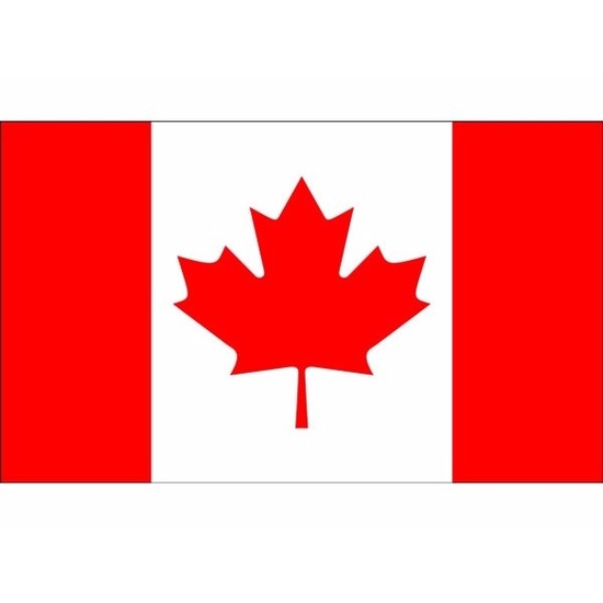 Klein formaat supporters landen vlag Canada - 60 x 90 cm - Landen feestartikelen - polyester