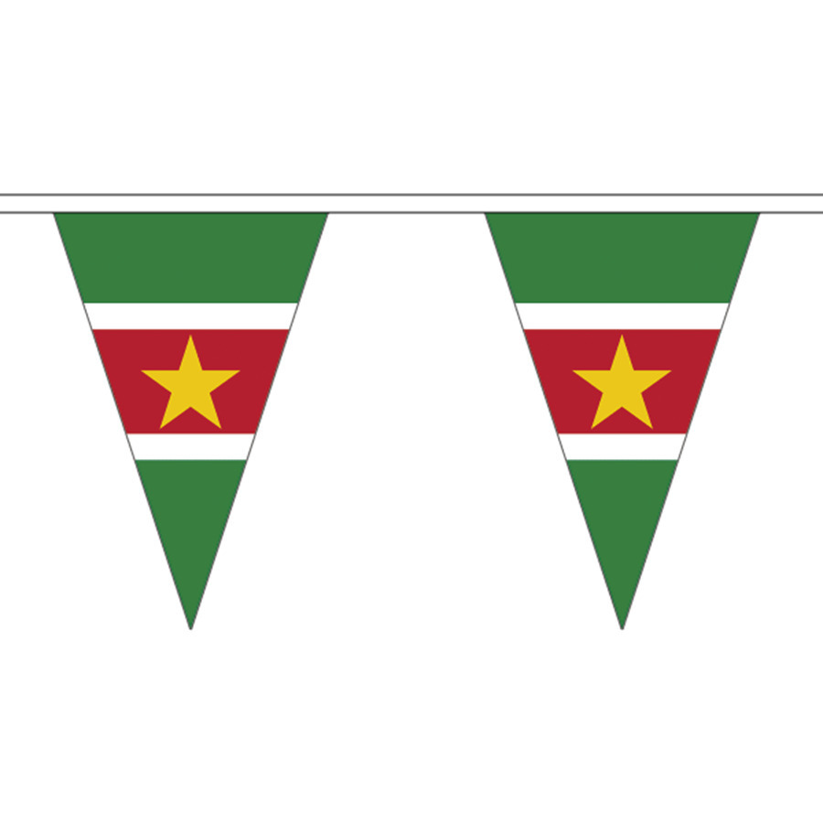 Suriname vlaggenlijn van stof - 500 cm - polyester - landen vlaggetjes - versiering