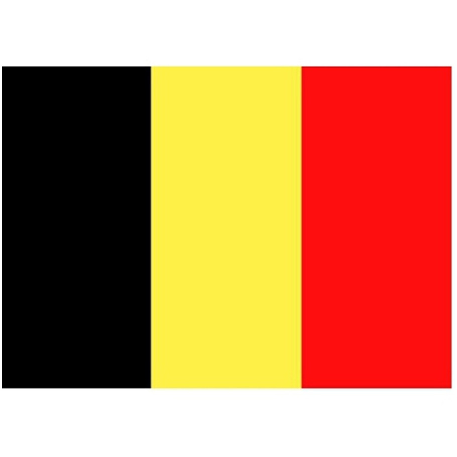 Vlag van Belgie stickers - 7.5 x 10 cm - Binnen/buiten