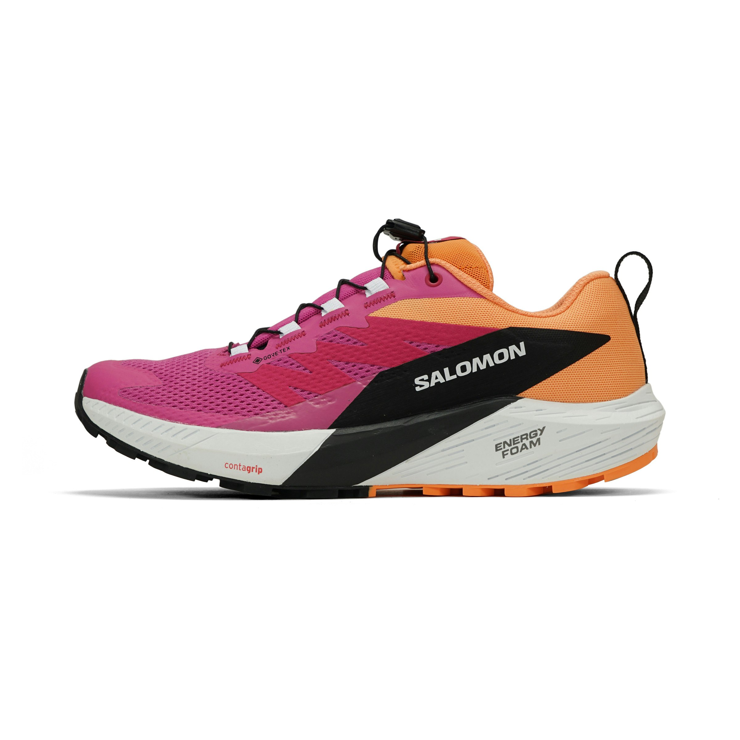 Salomon Sense Ride 5 GTX Dames