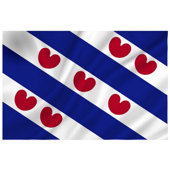 Luxe vlag Friesland - 70 x 100 cm - polyester - Fryslan - Friese vlag
