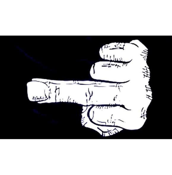 Middelvinger vlag - 150 x 90 cm - zwart/wit - polyester - versiering