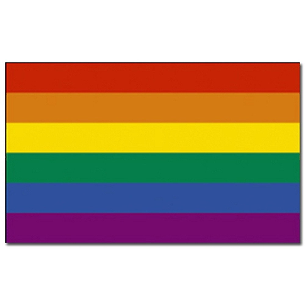 Regenboog kleuren vlag - 90 x 150 cm - polyester - met ringen
