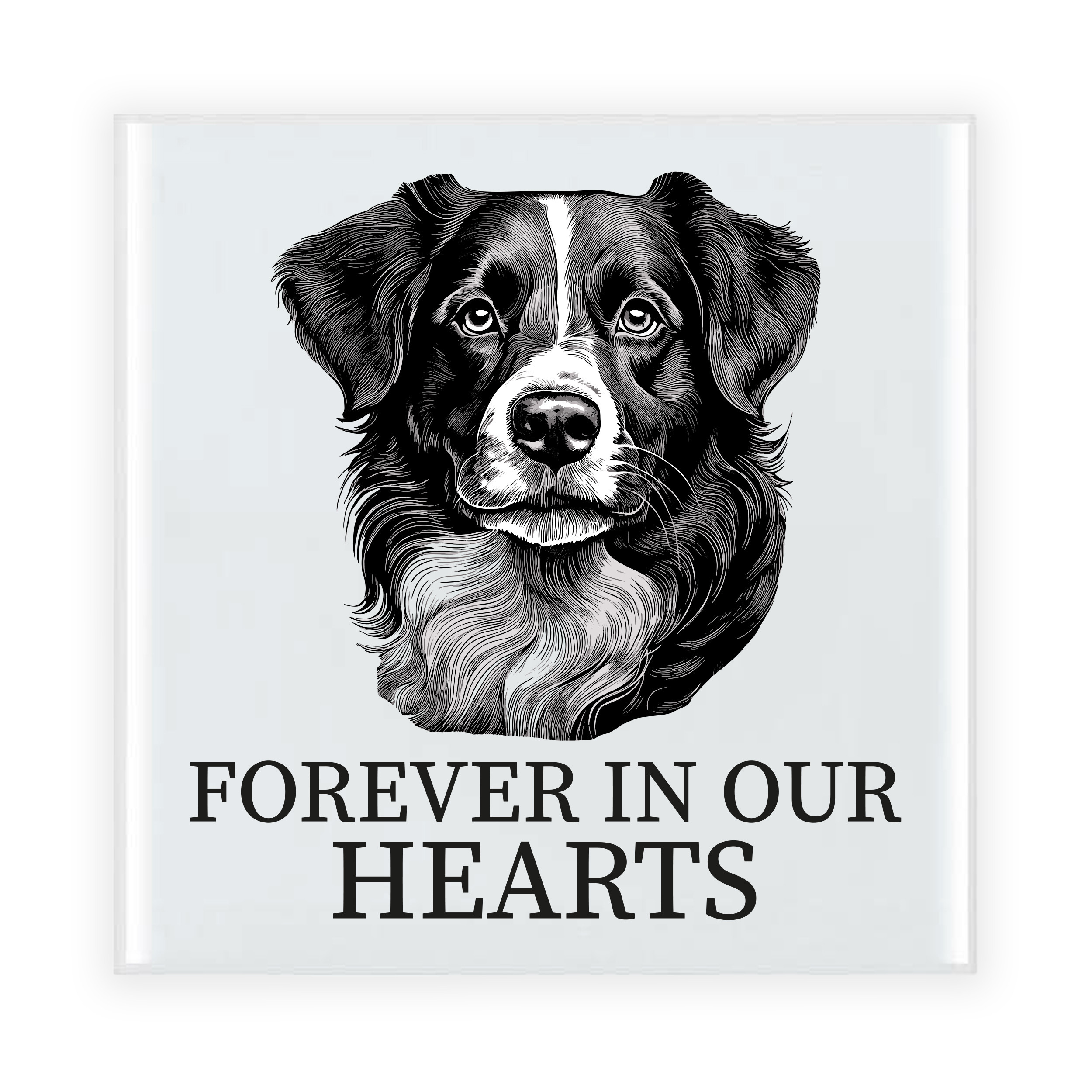 Herdenkings cadeau tegel - hondenliefhebber - Border Collie hond - zwart/wit - keramiek - 15 x 15 cm