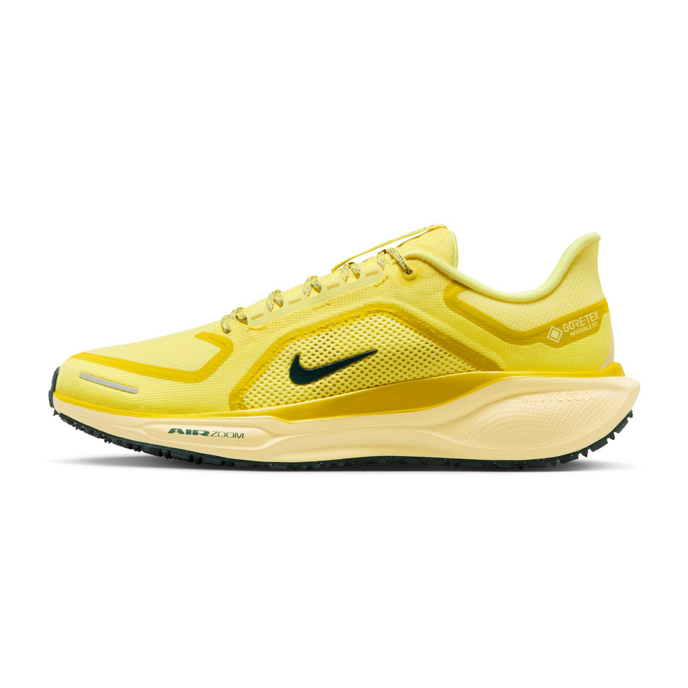 Nike Pegasus 41 GTX Heren
