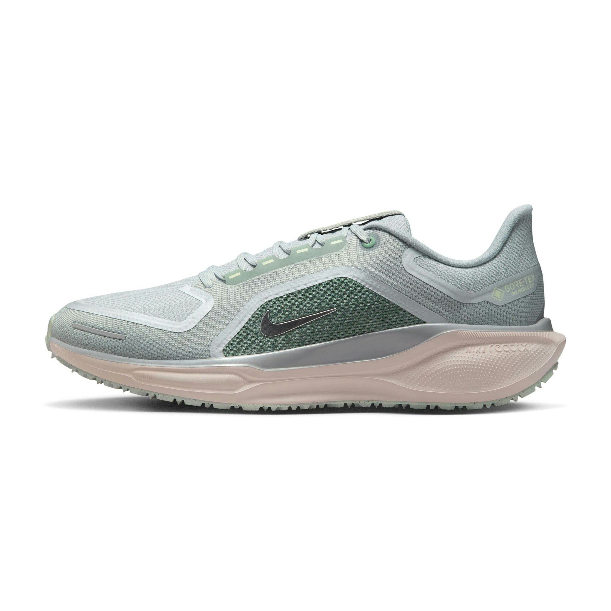 Nike Pegasus 41 GTX Heren