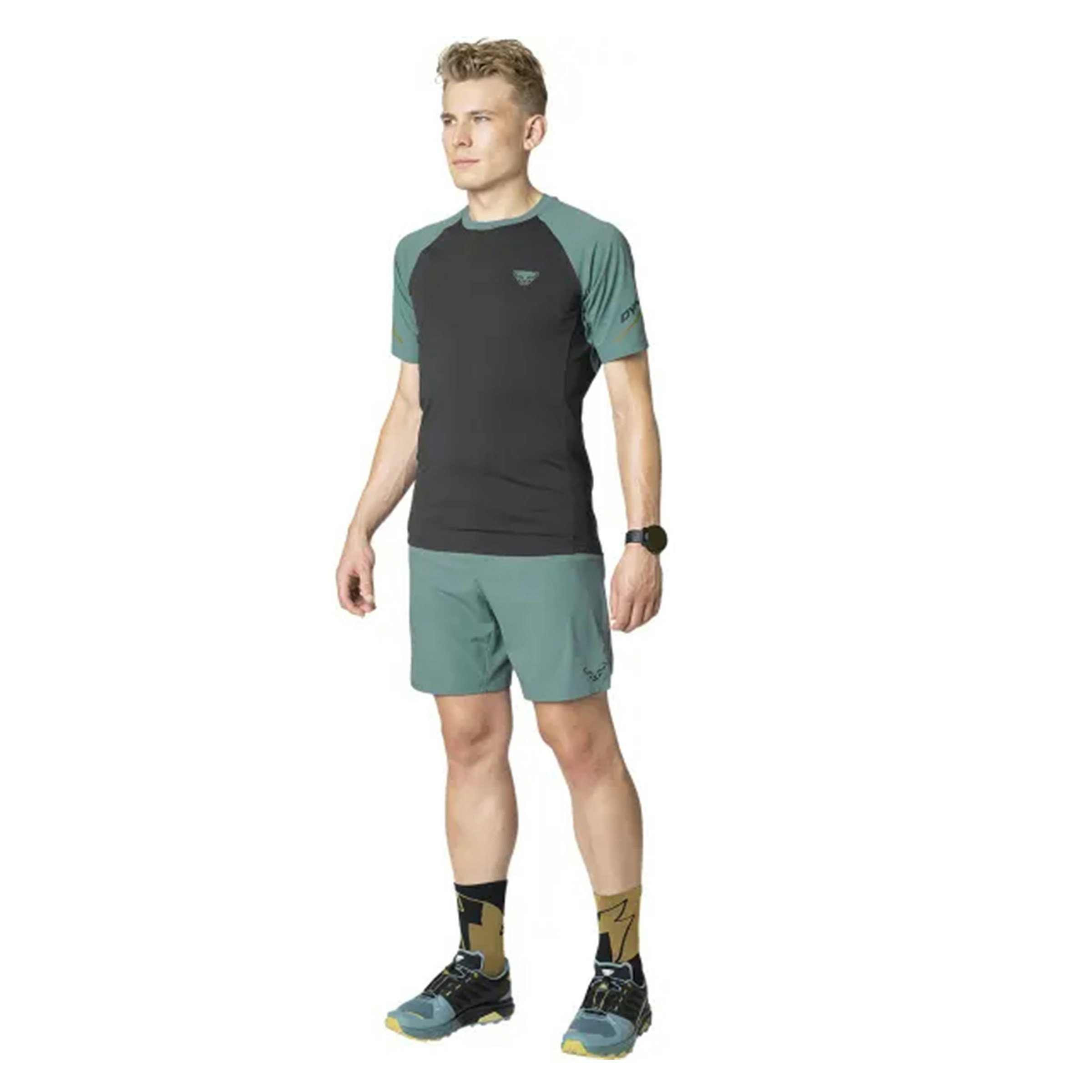 Dynafit Alpine Pro T-shirt Heren