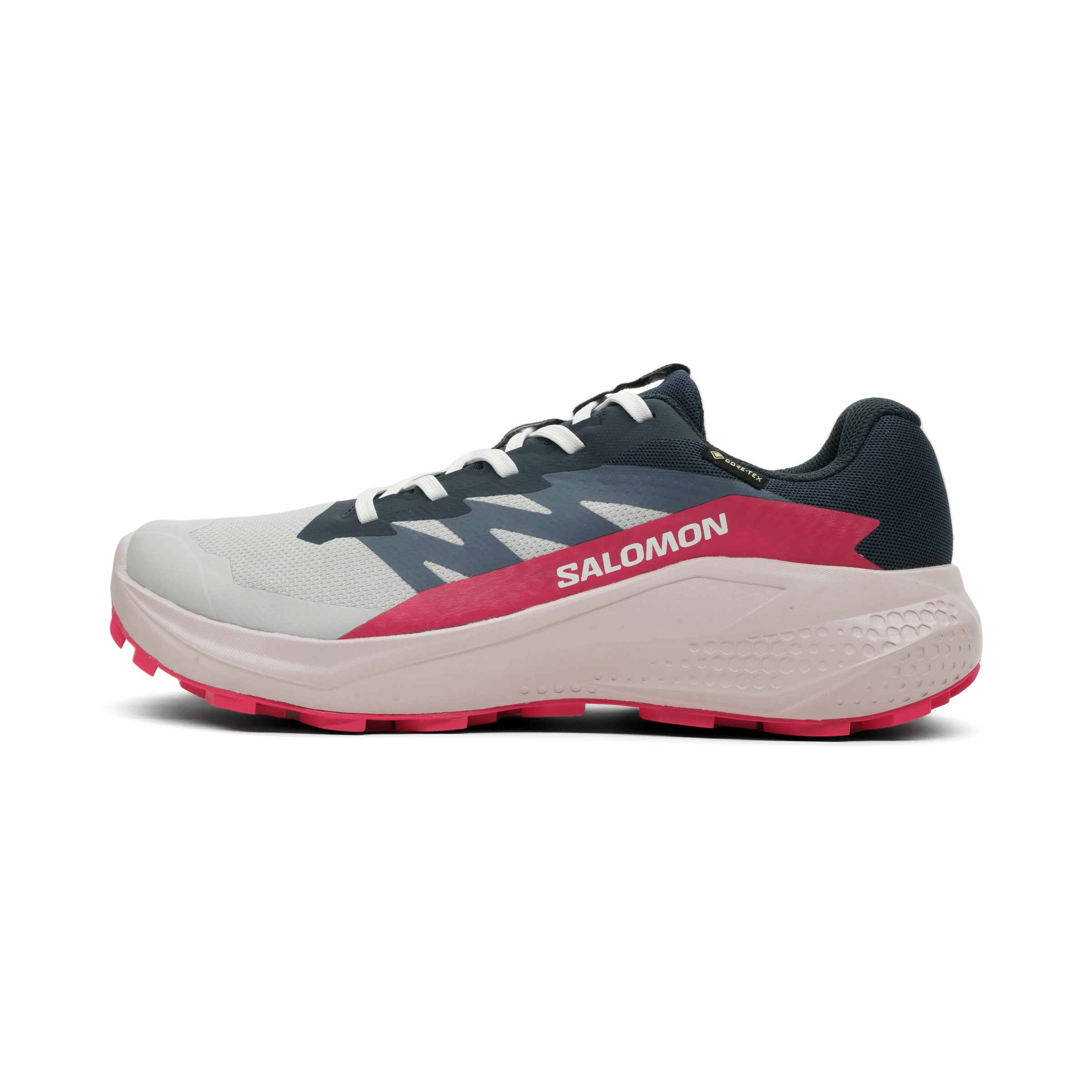 Salomon Alphaglide GTX Dames