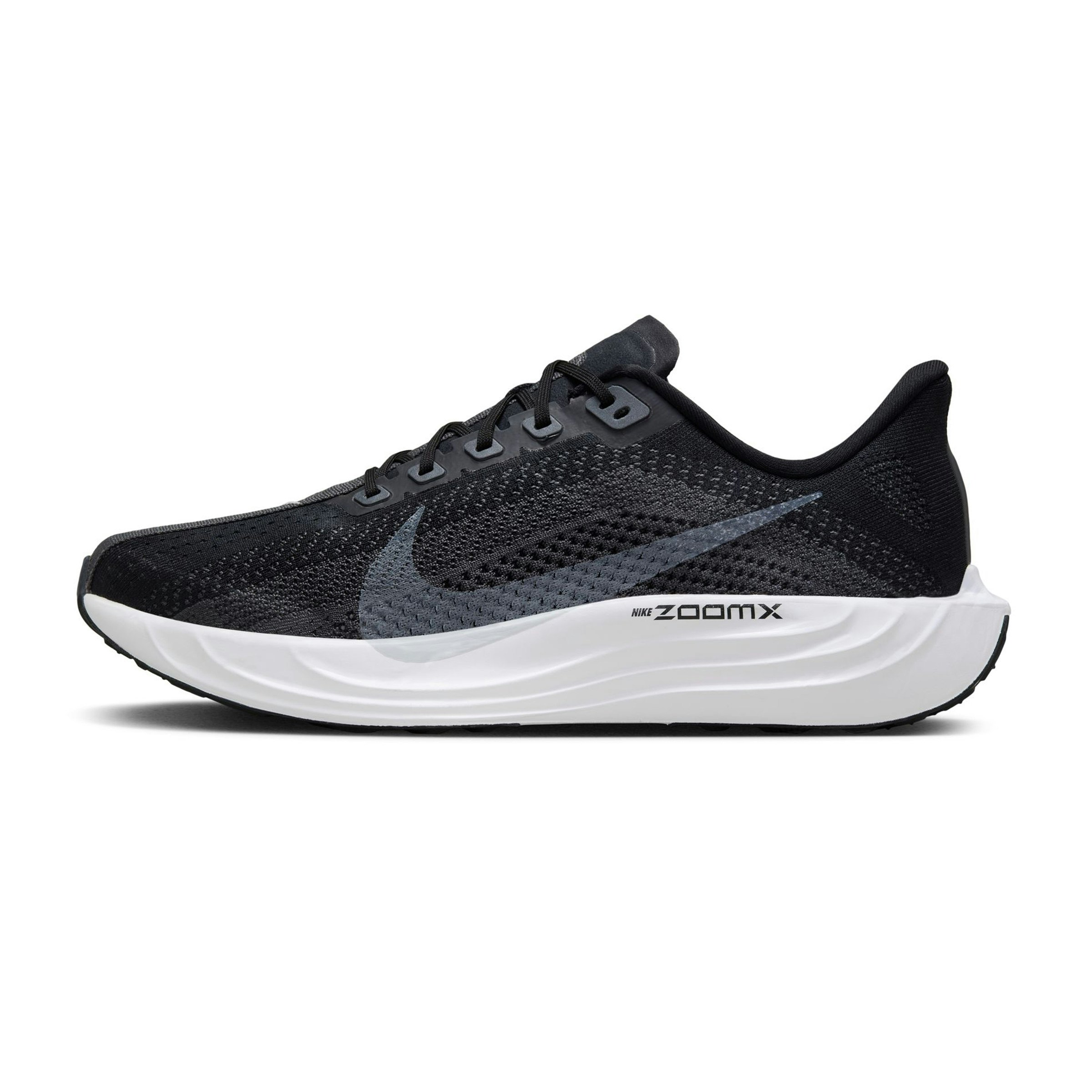 Nike Pegasus Plus heren