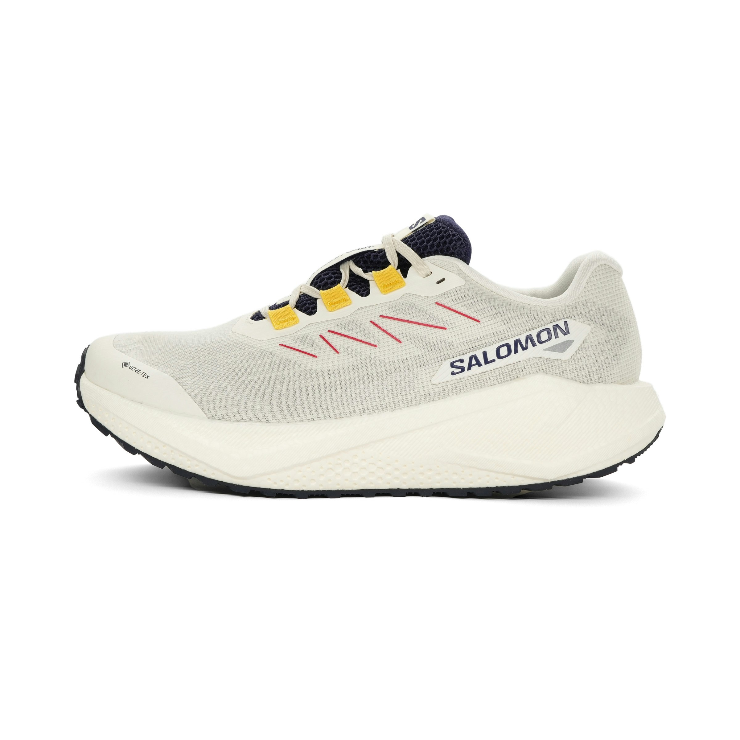 Salomon Aero Blaze 3 GRVL GTX Dames
