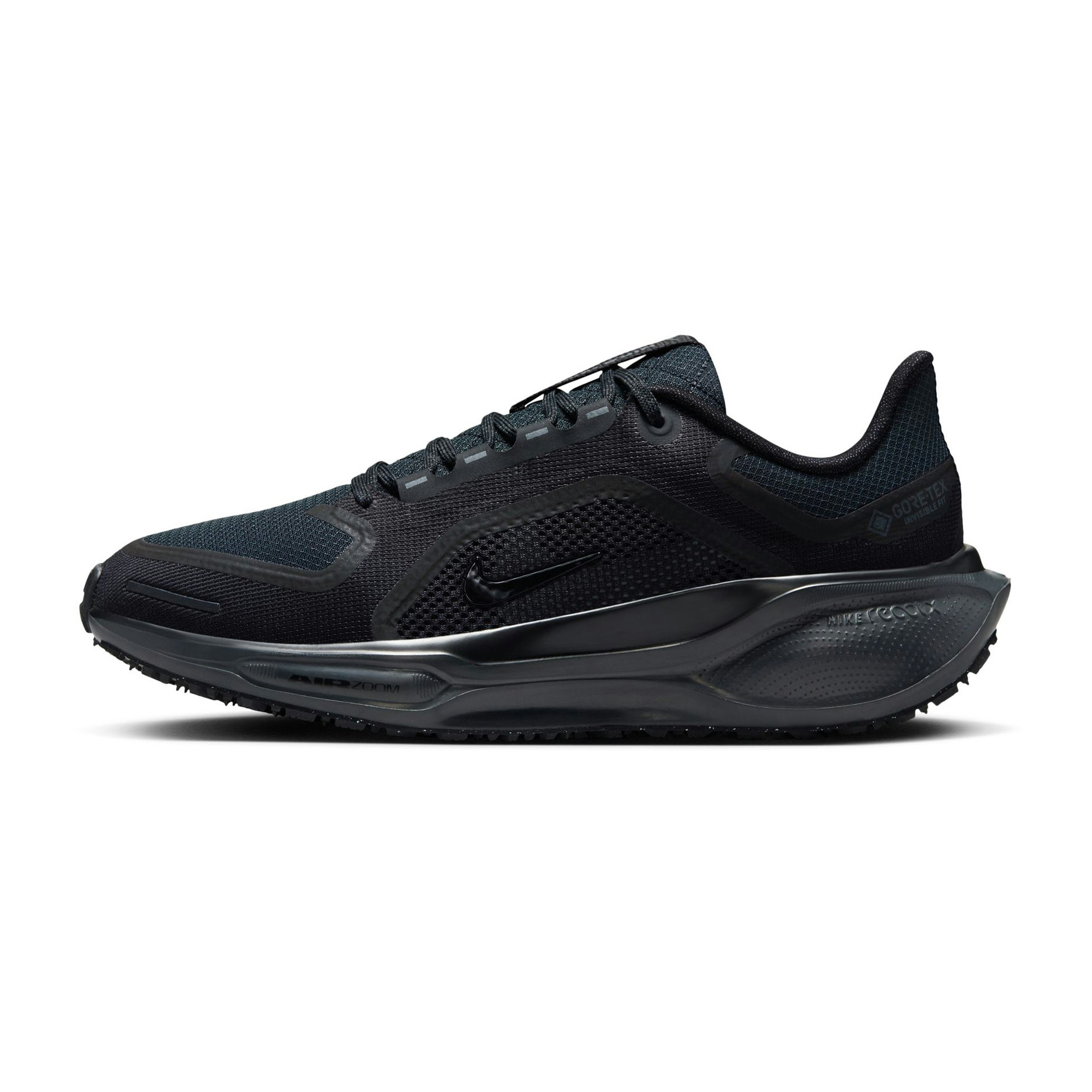 Nike Pegasus 41 GTX Heren
