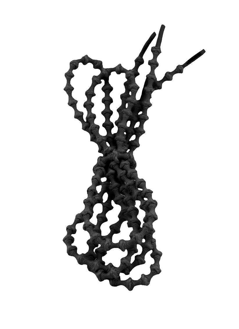 Xtenex Sportveters 75 cm - Black