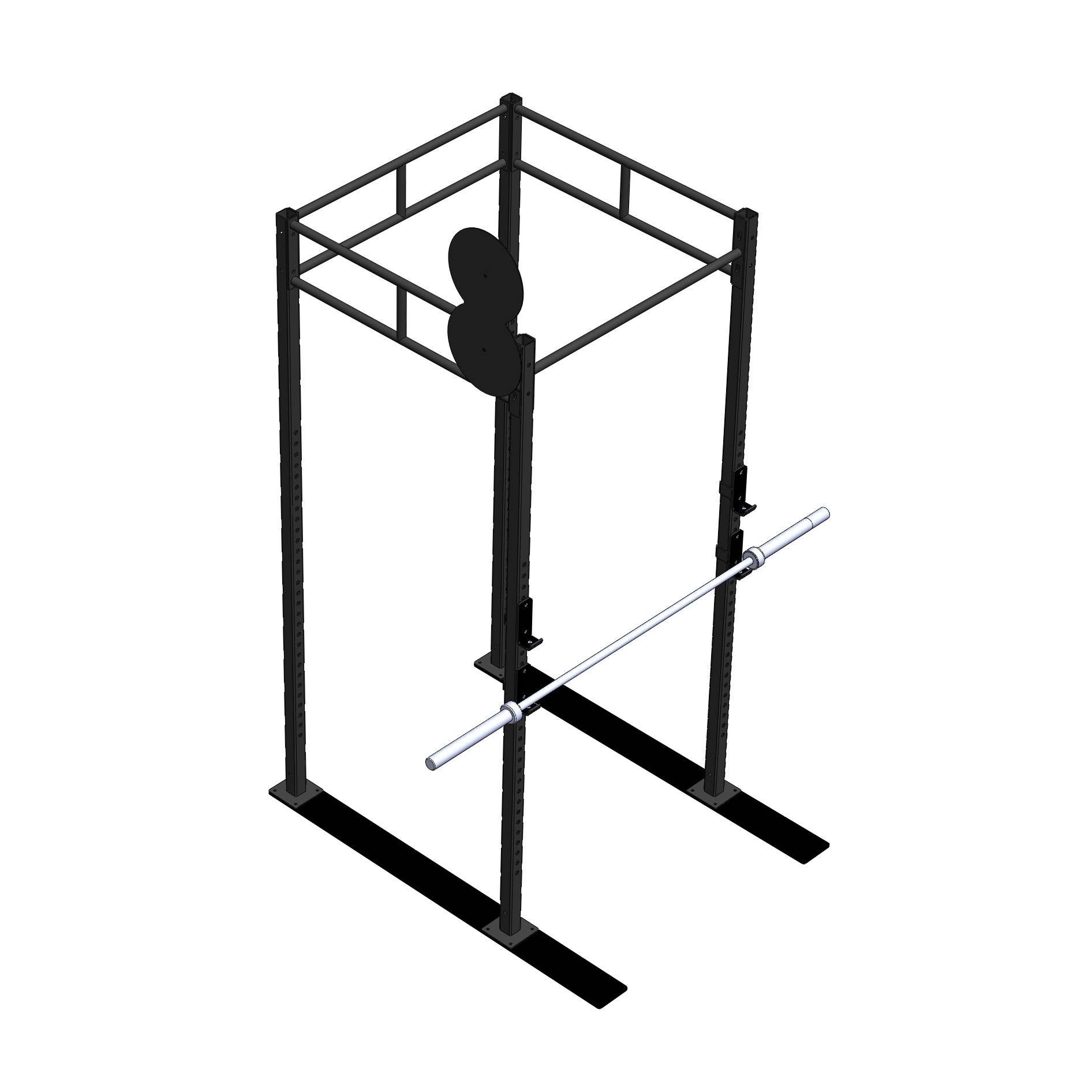 PT Essentials Heavy Duty Crossfit Rig V26