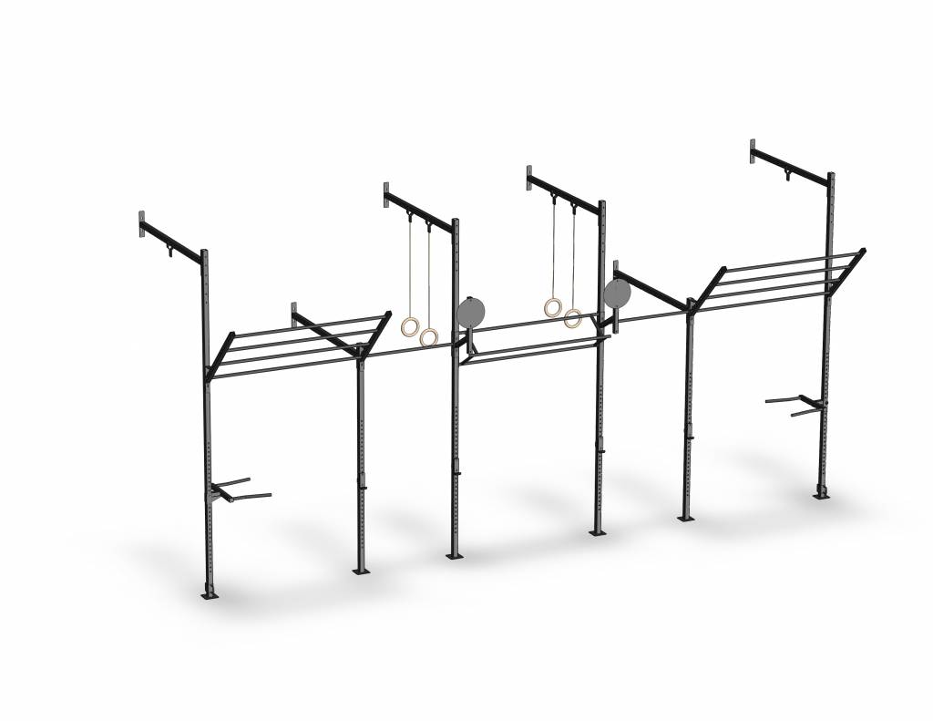 PT Essentials Wall Mount Crossfit Rig V17