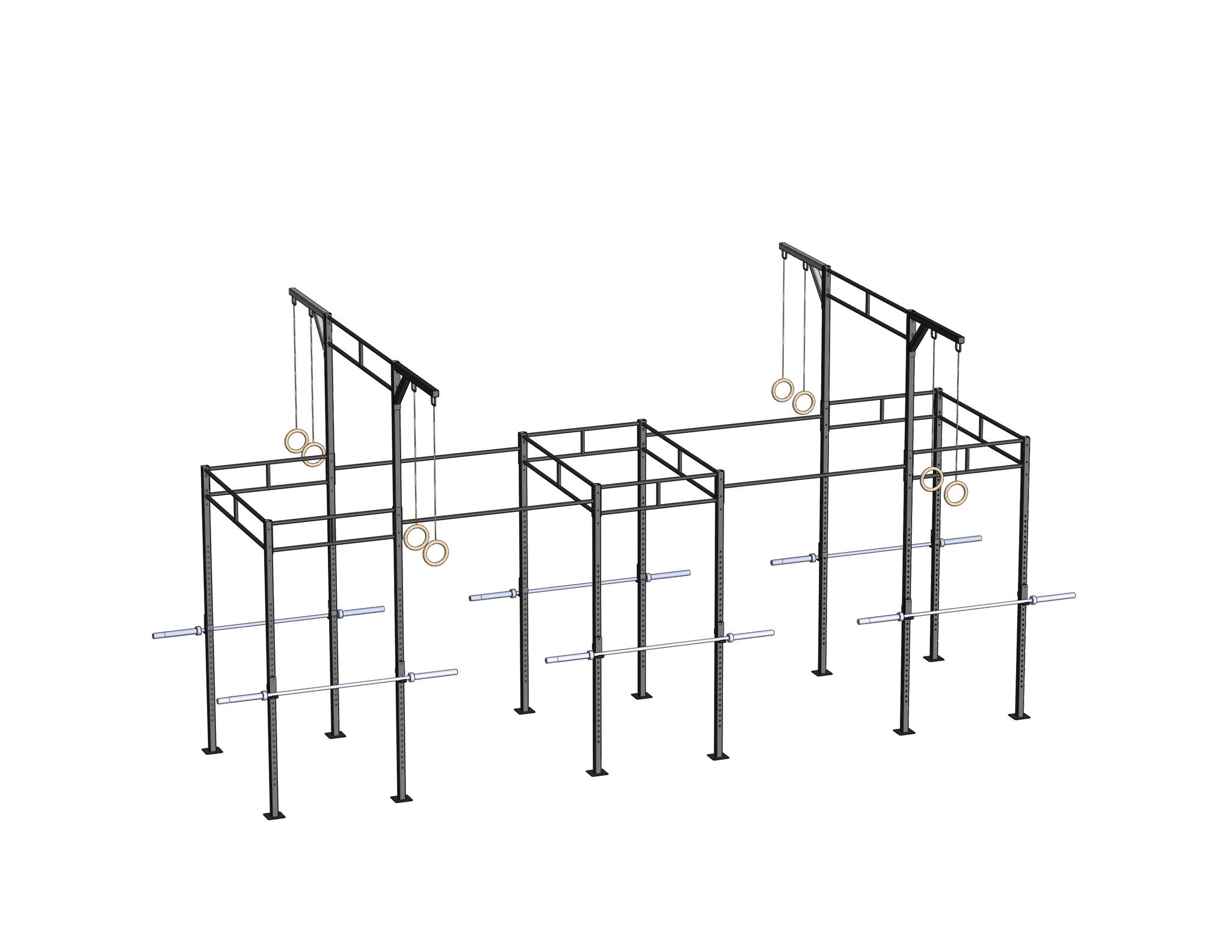 PT Essentials Heavy Duty Crossfit Rig V20