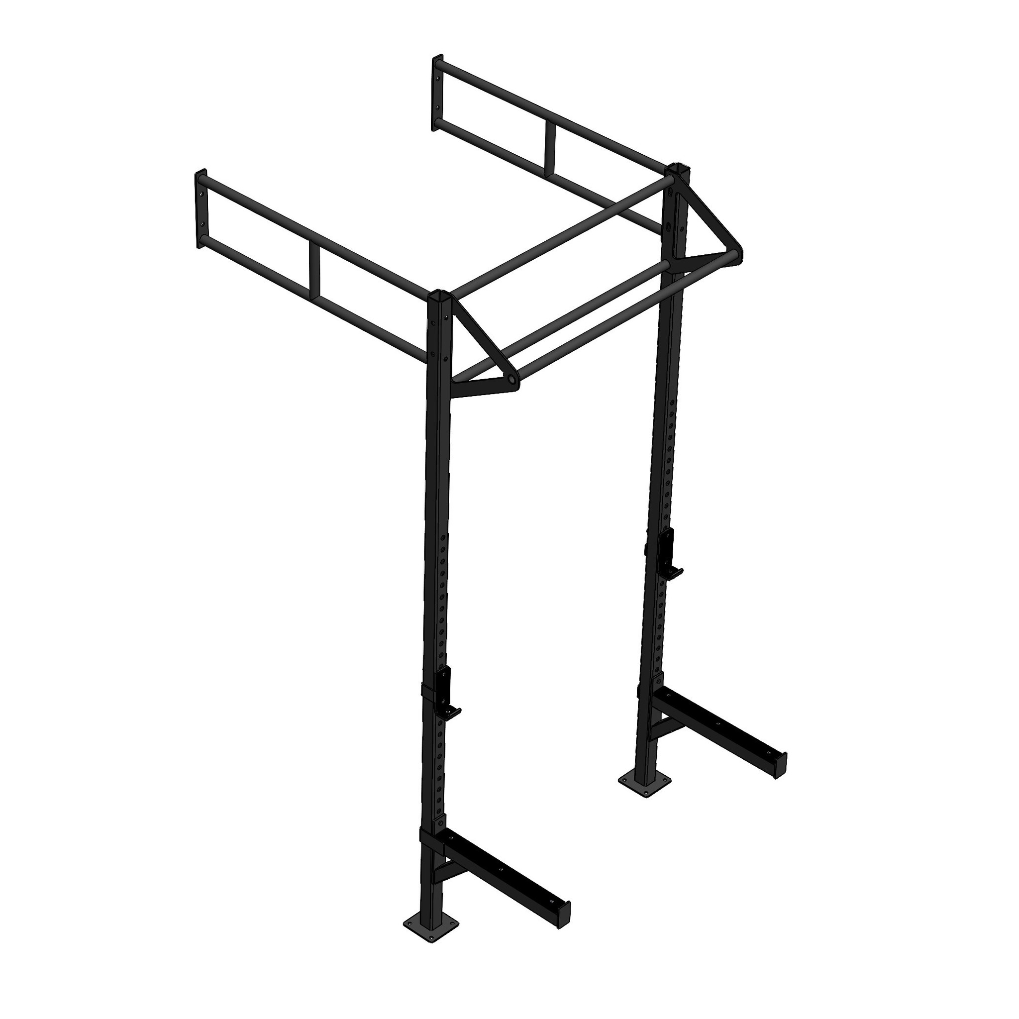 PT Essentials Wall Mount Crossfit Rig V1