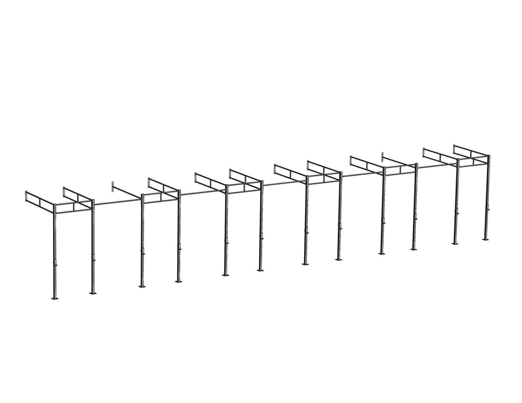 PT Essentials Wall Mount Crossfit Rig V20