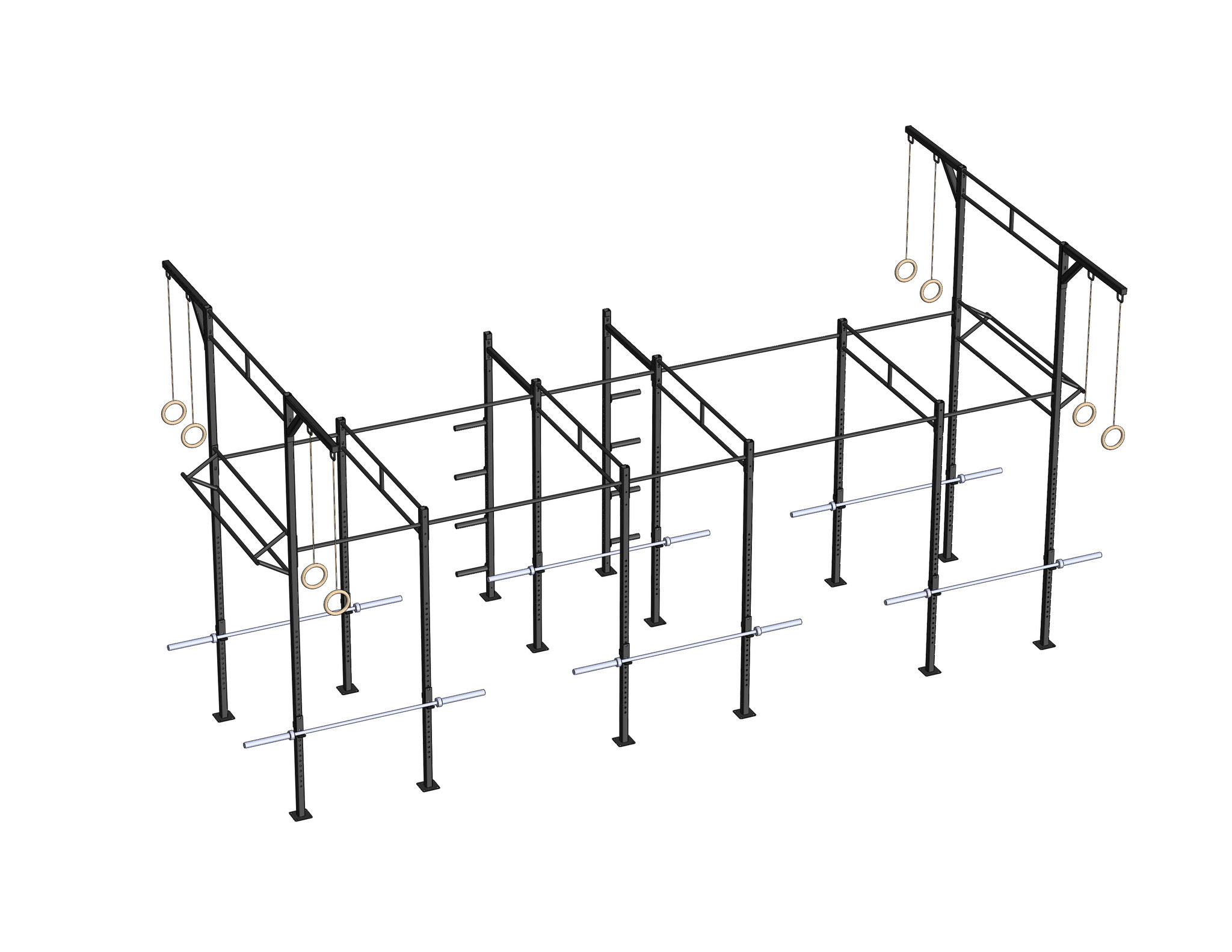 PT Essentials Heavy Duty Crossfit Rig V23