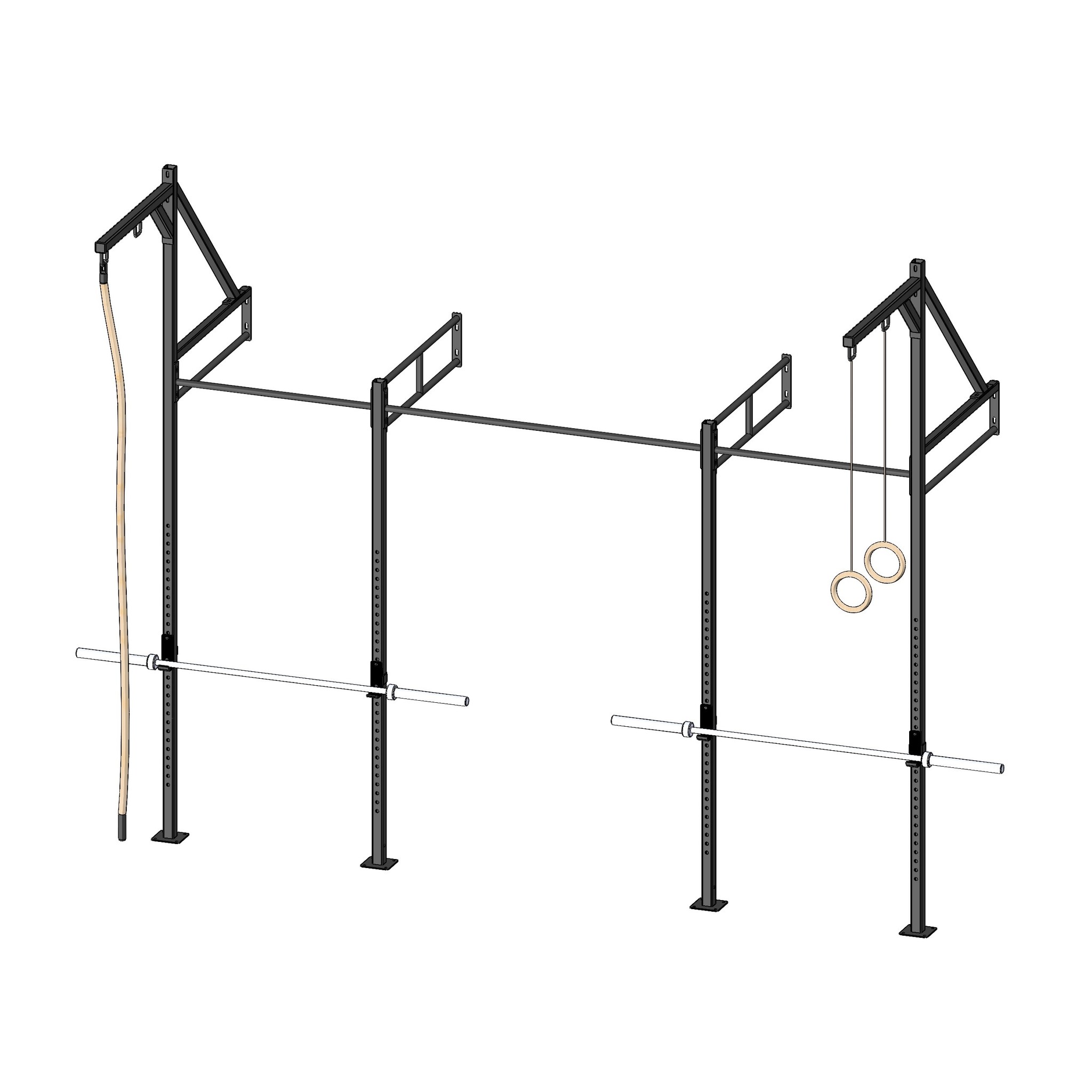 PT Essentials Wall Mount Crossfit Rig V13-2