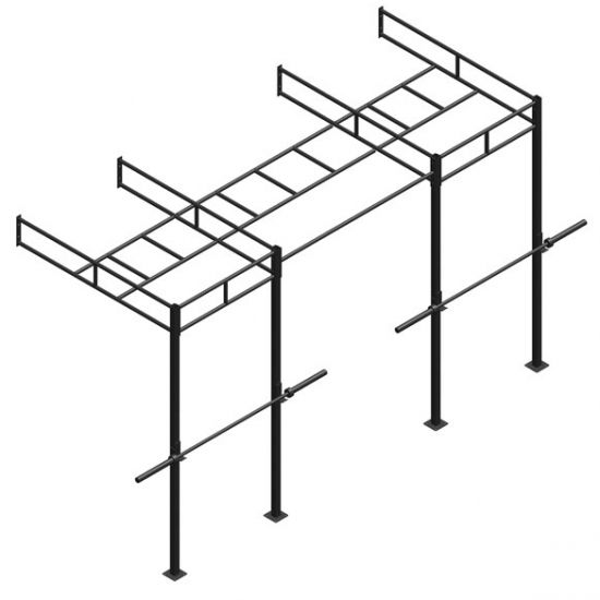 PT Essentials Wall Mount Crossfit Rig V15