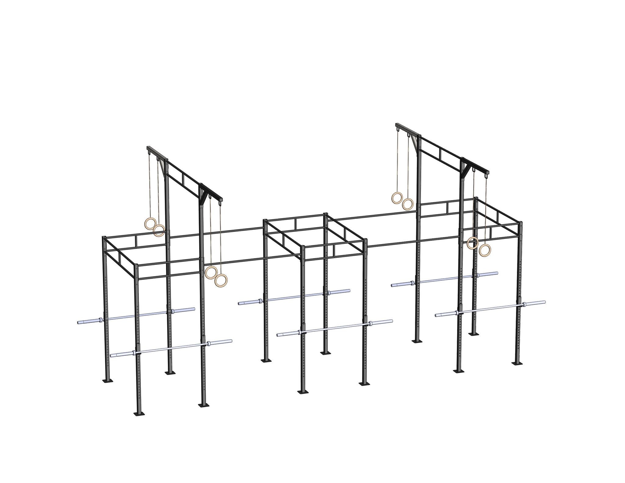 PT Essentials Heavy Duty Crossfit Rig V20 - 350 CM