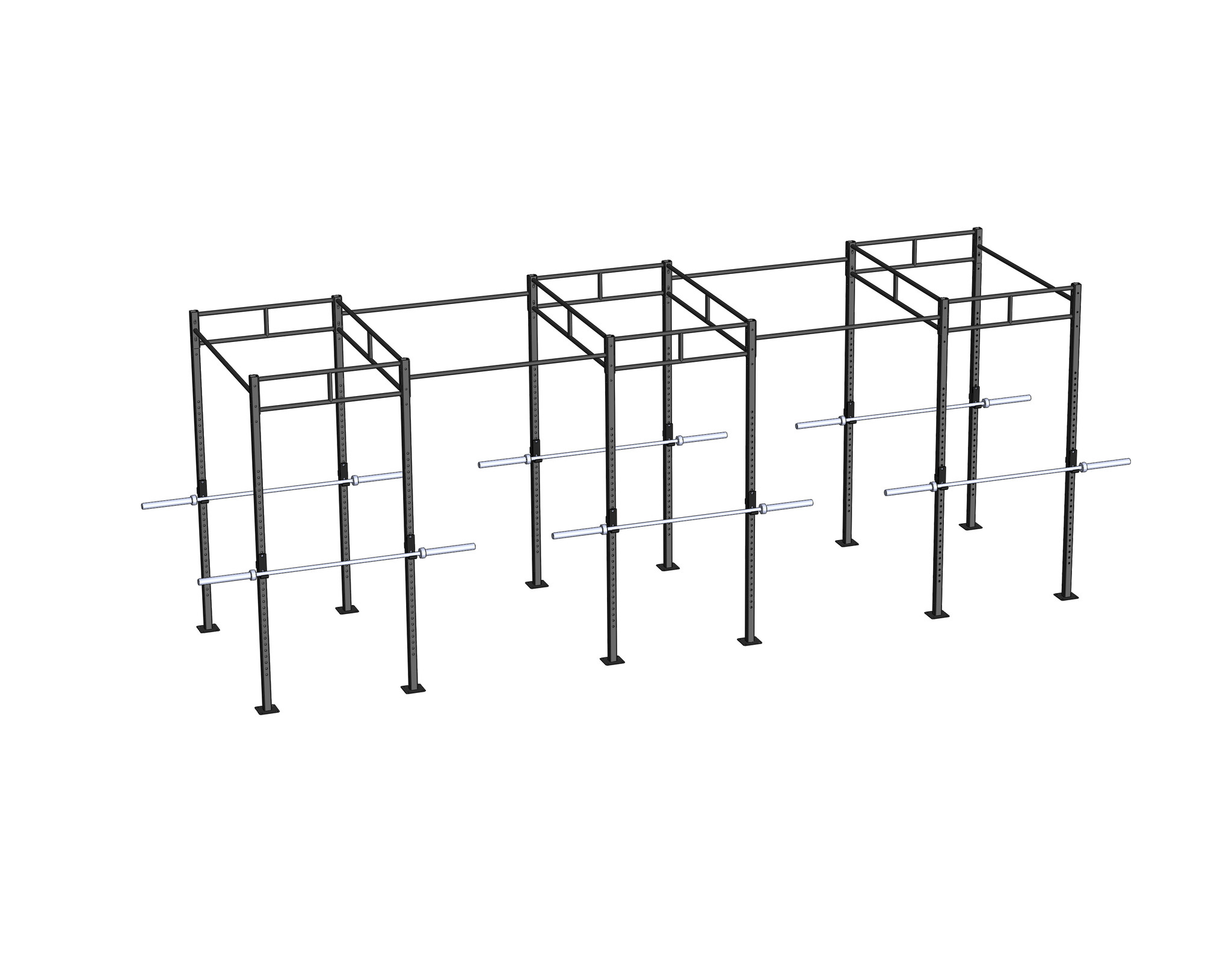 PT Essentials Heavy Duty Crossfit Rig V25