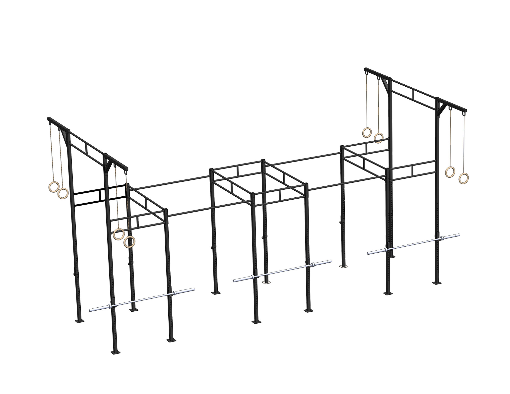 PT Essentials Heavy Duty Crossfit Rig V22