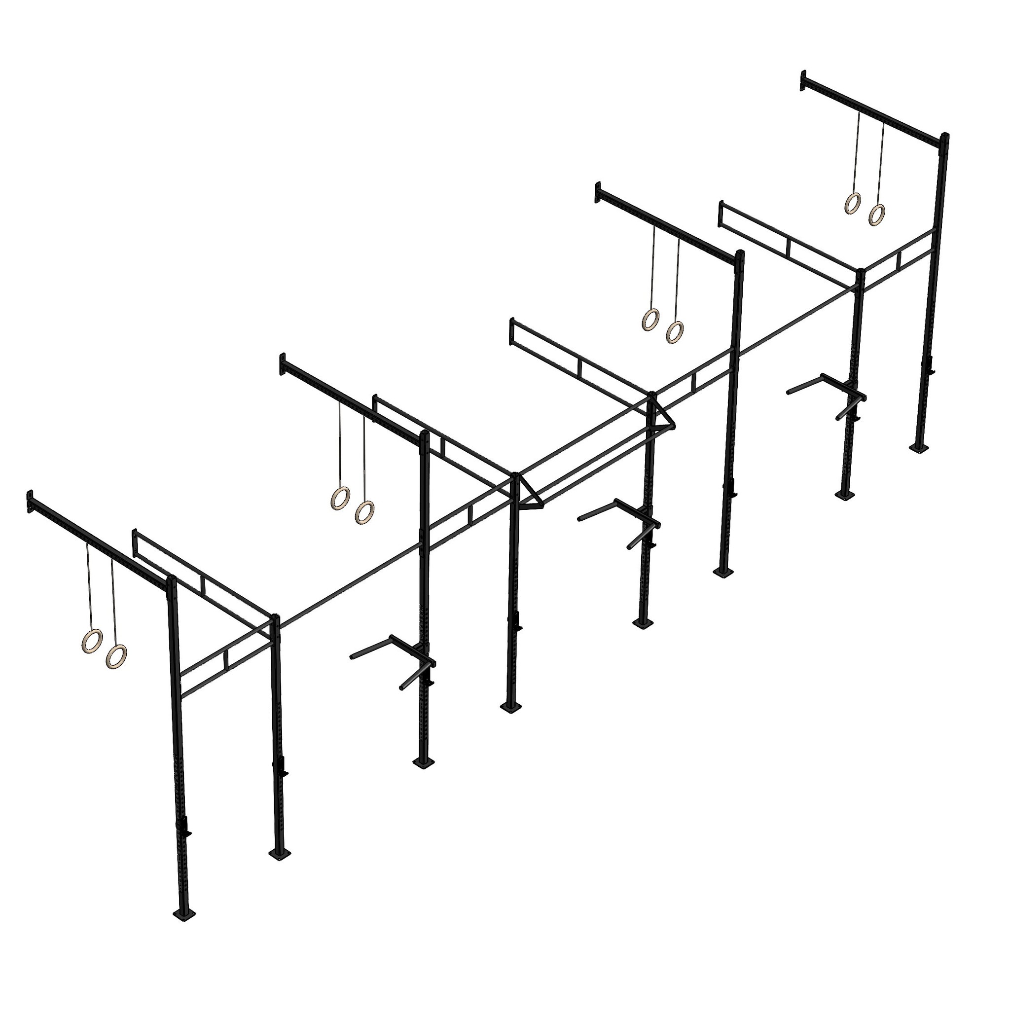 PT Essentials Wall Mount Crossfit Rig V26