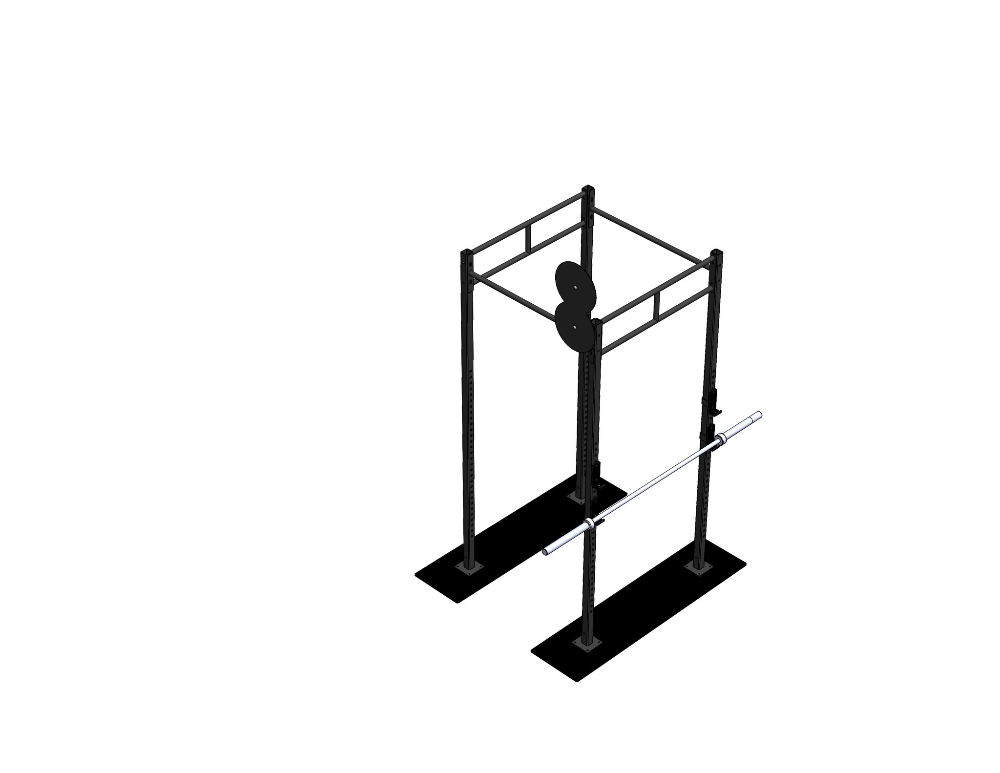 PT Essentials Heavy Duty Crossfit Rig V27