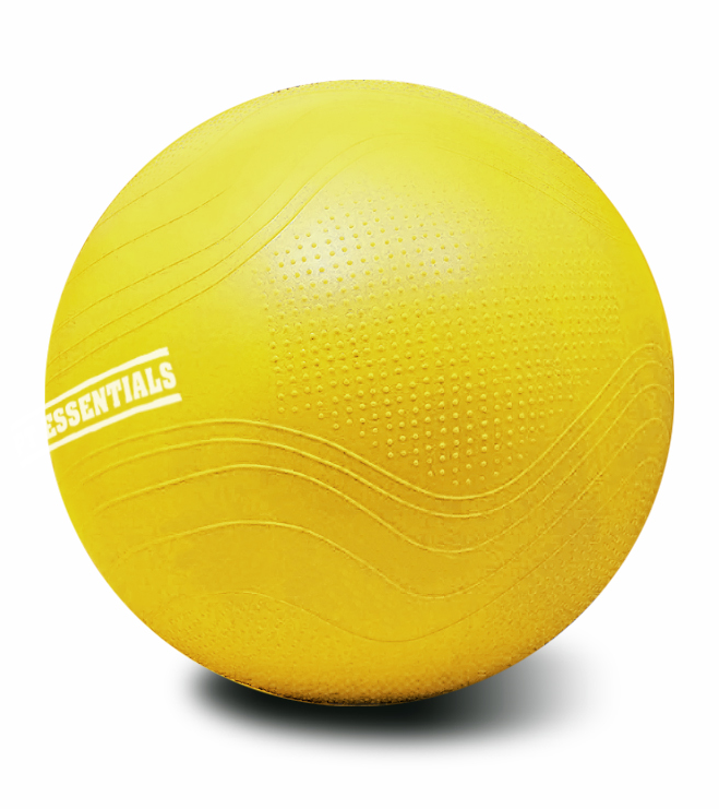 PT Essentials SALE - Gymball PRO V2 - Swiss Ball - 55