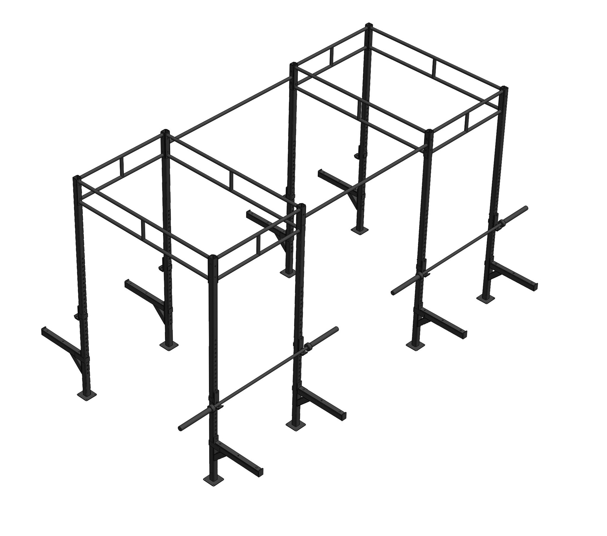 PT Essentials Heavy Duty Crossfit Rig V10 - V2