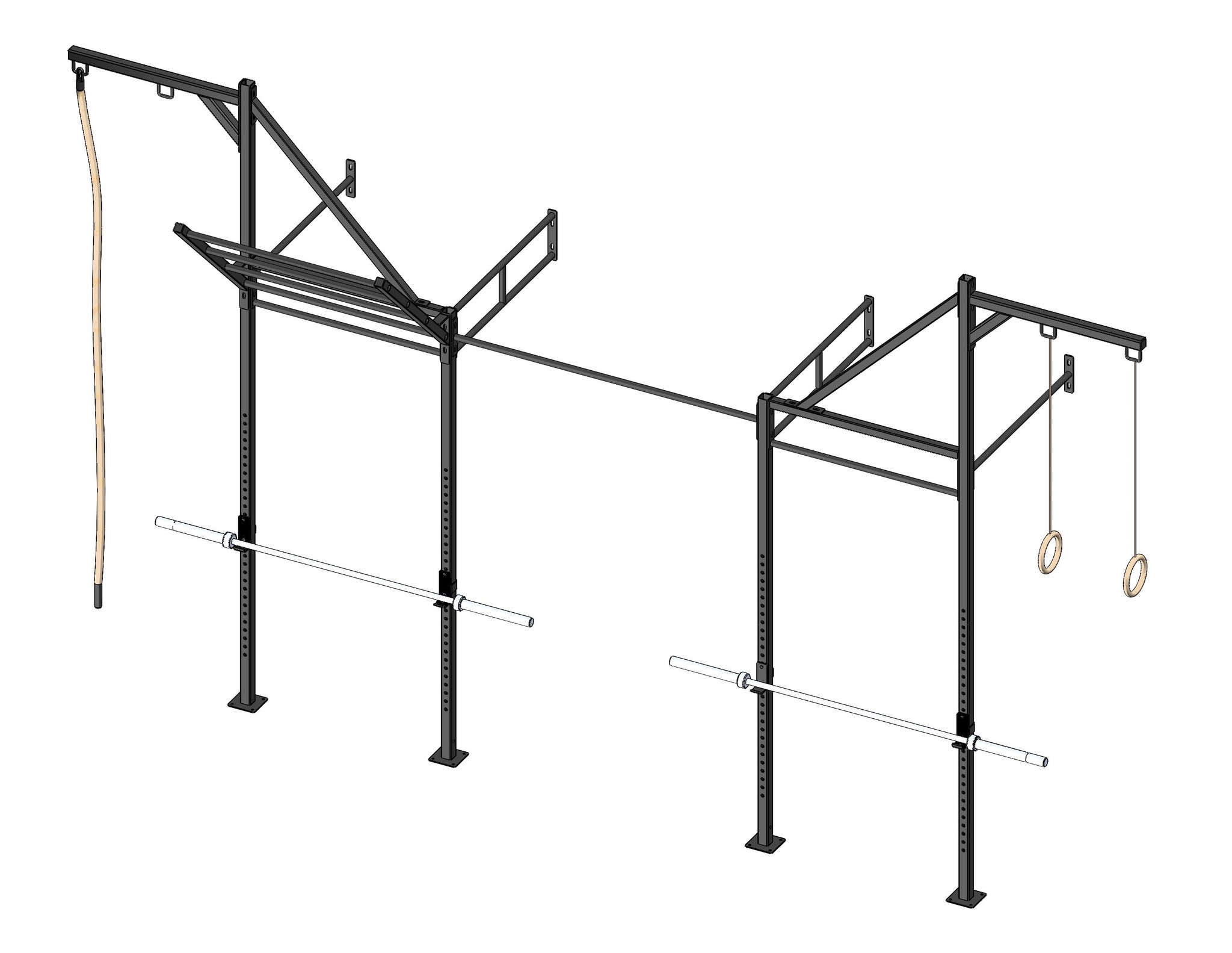 PT Essentials Wall Mount Crossfit Rig V13-3