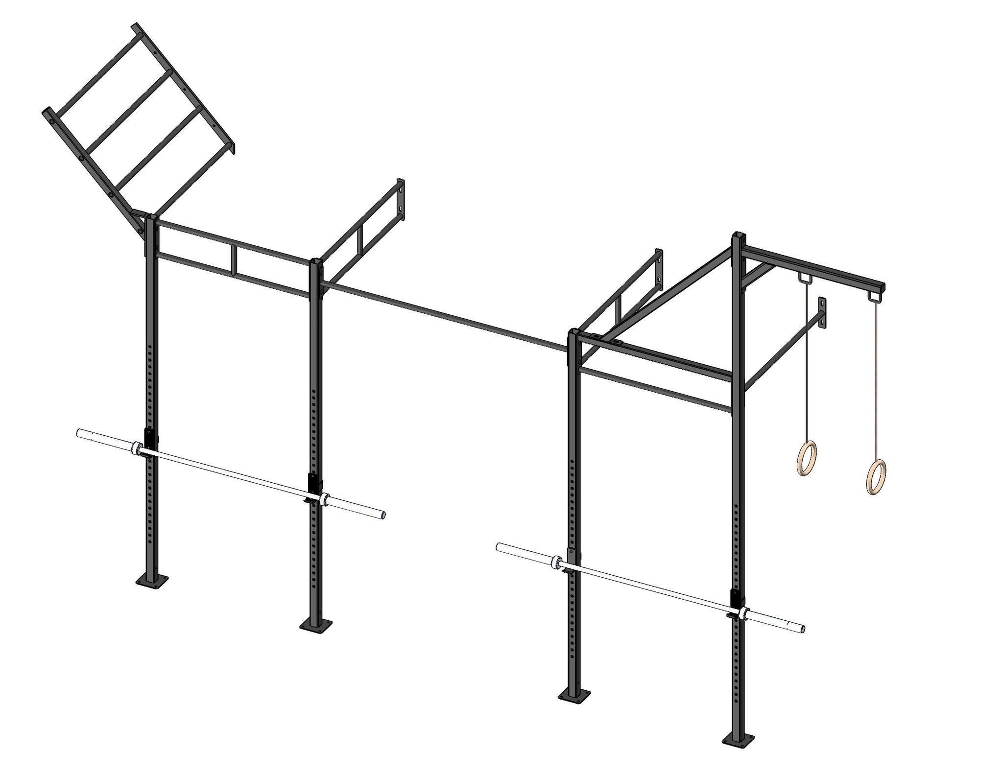 PT Essentials Wall Mount Crossfit Rig V13-4