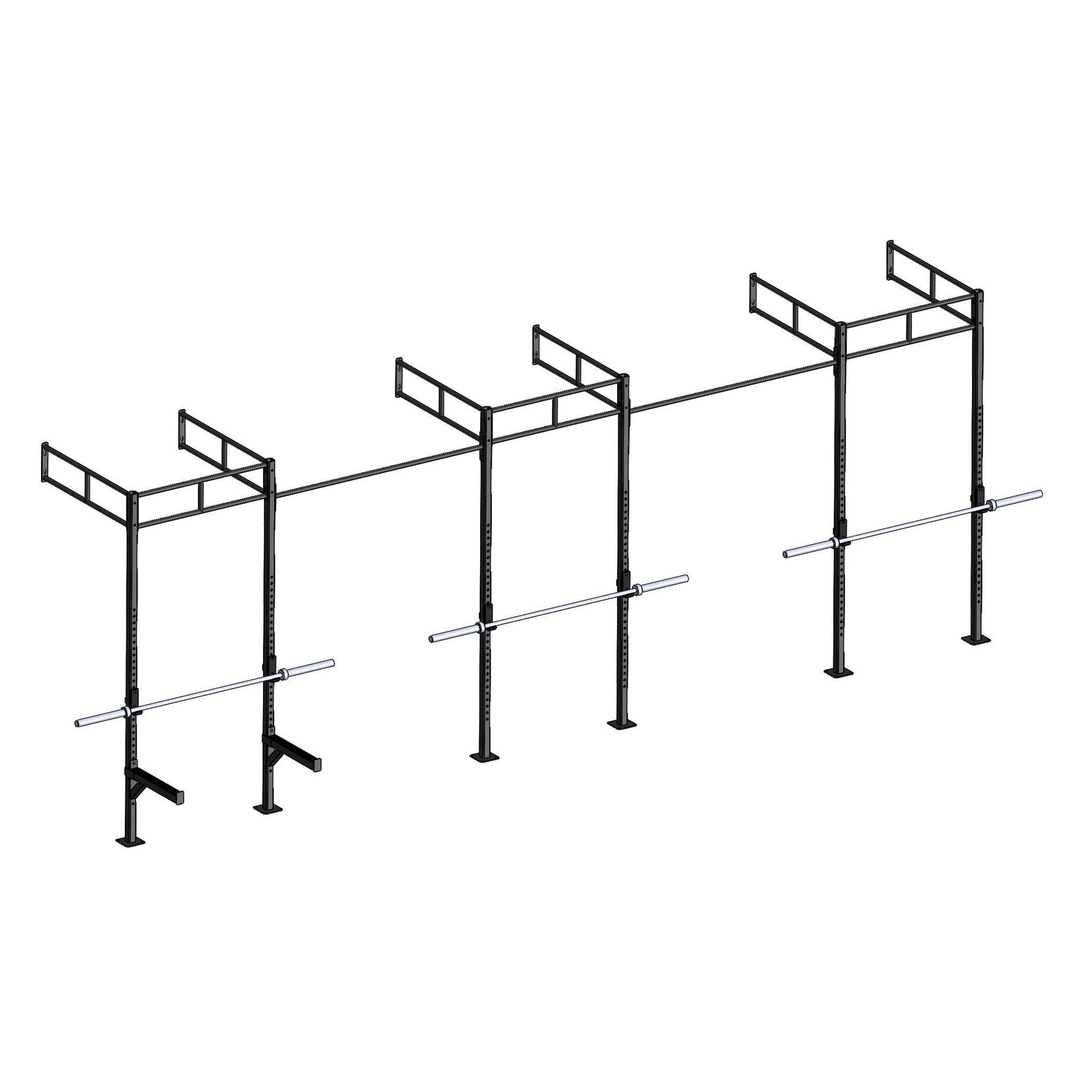 PT Essentials Wall Mount Crossfit Rig V19-2