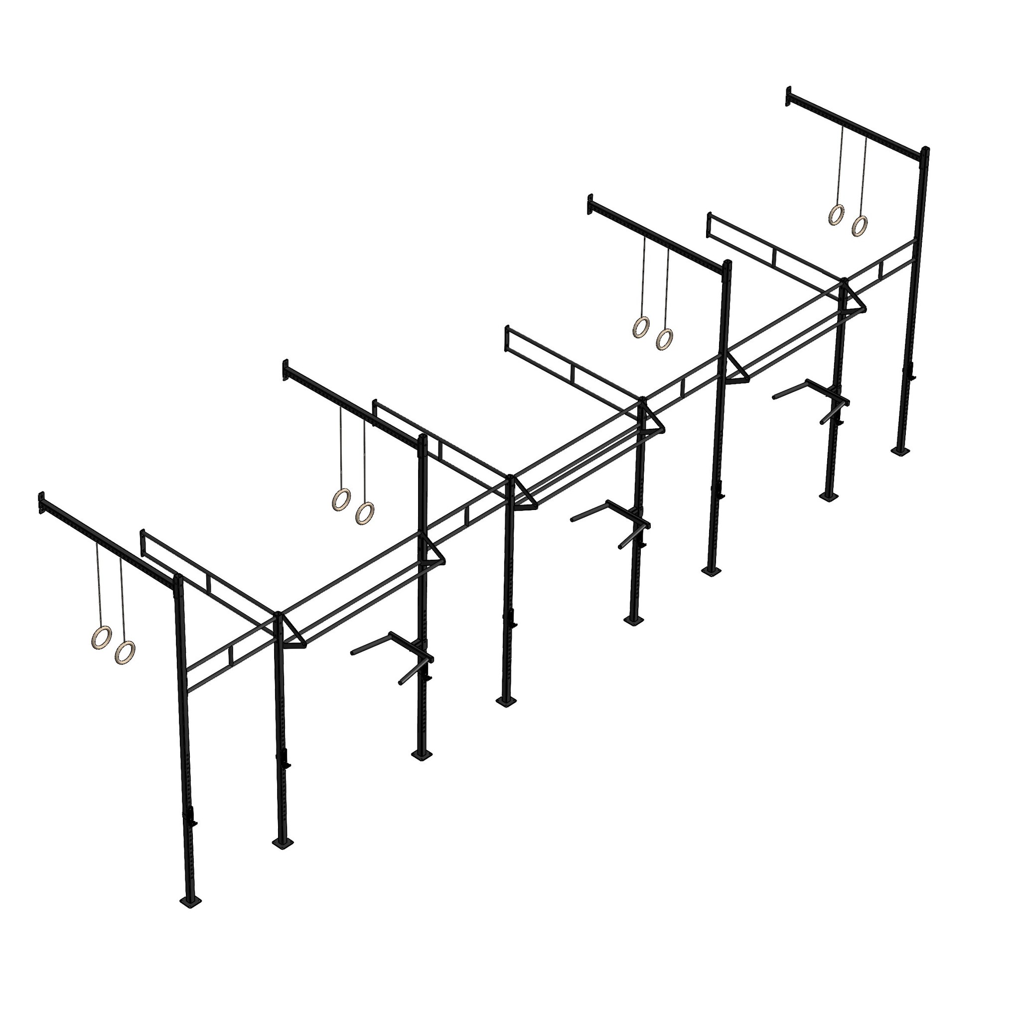 PT Essentials Wall Mount Crossfit Rig V23