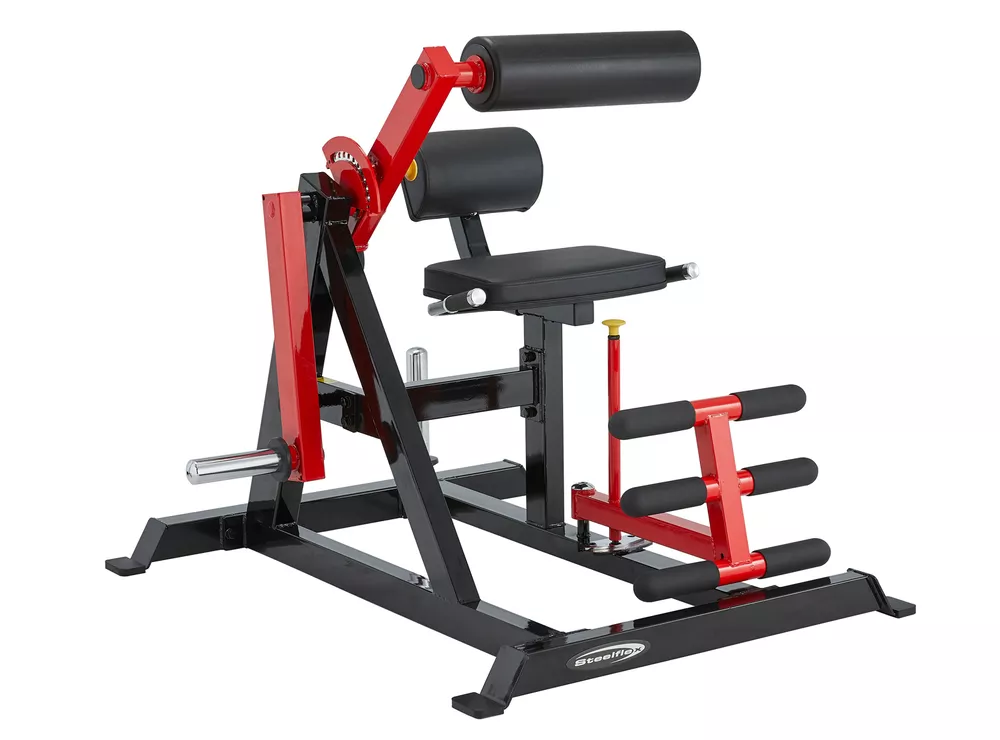 Steelflex PL2400-BR Ab Crunch & Back Extension Machine