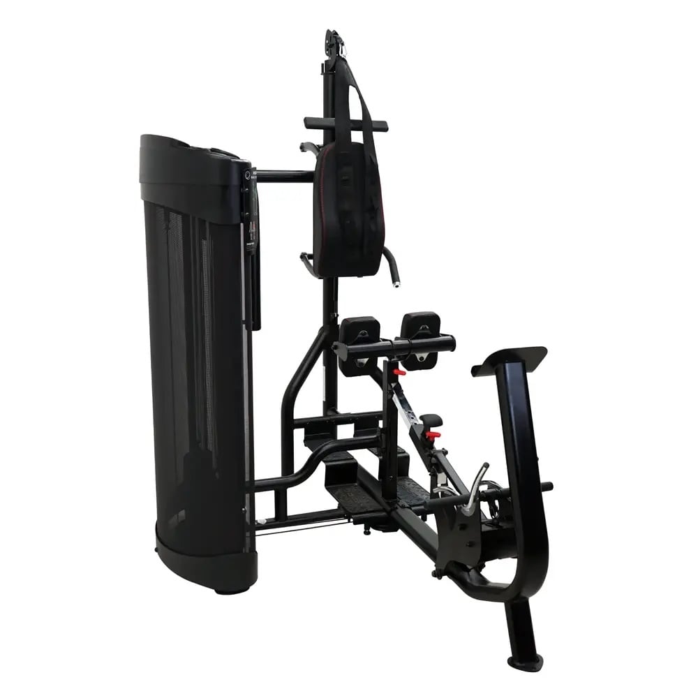 Inspire Fitness DUAL Station Ab and Back Machine