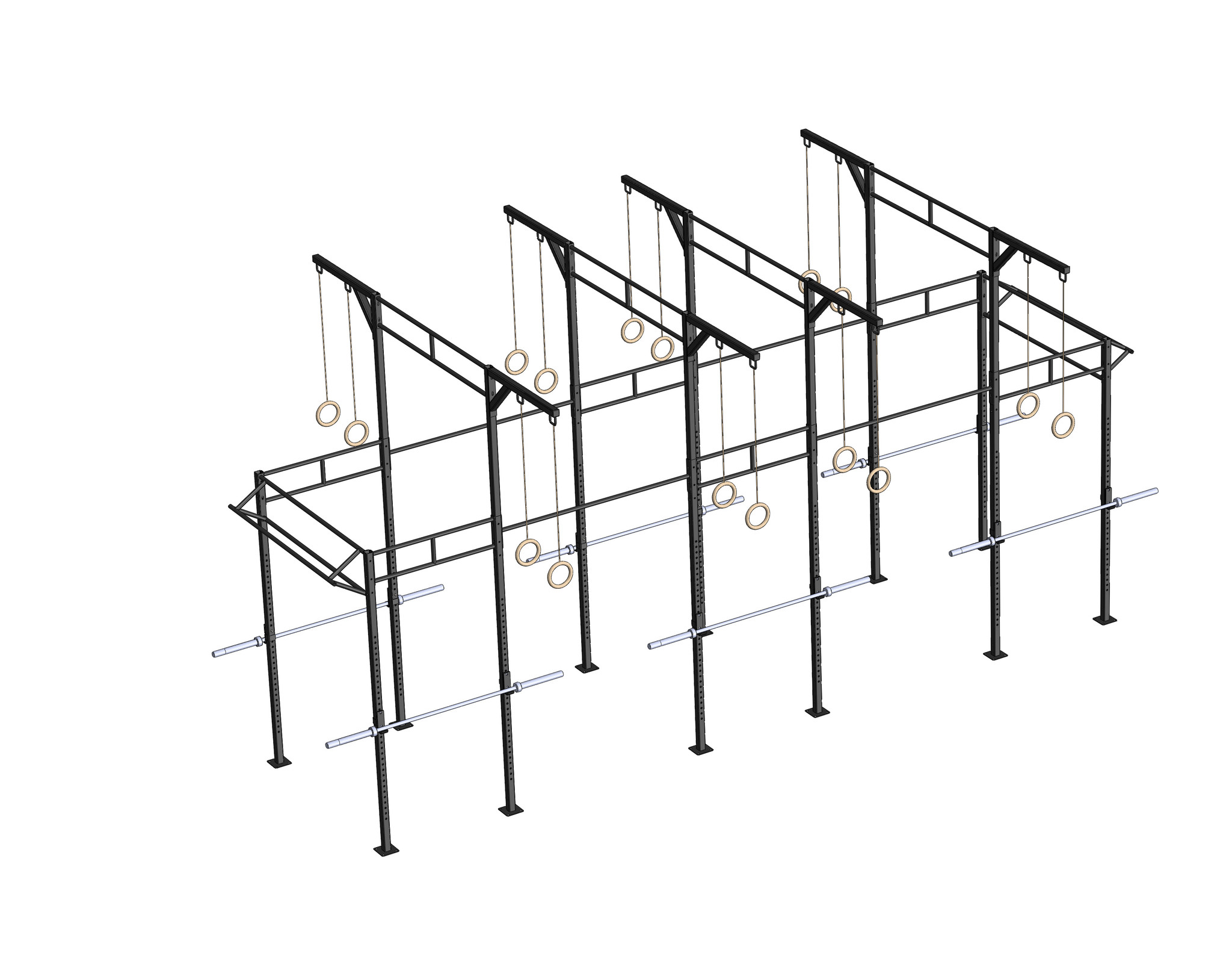 PT Essentials Heavy Duty Crossfit Rig V19